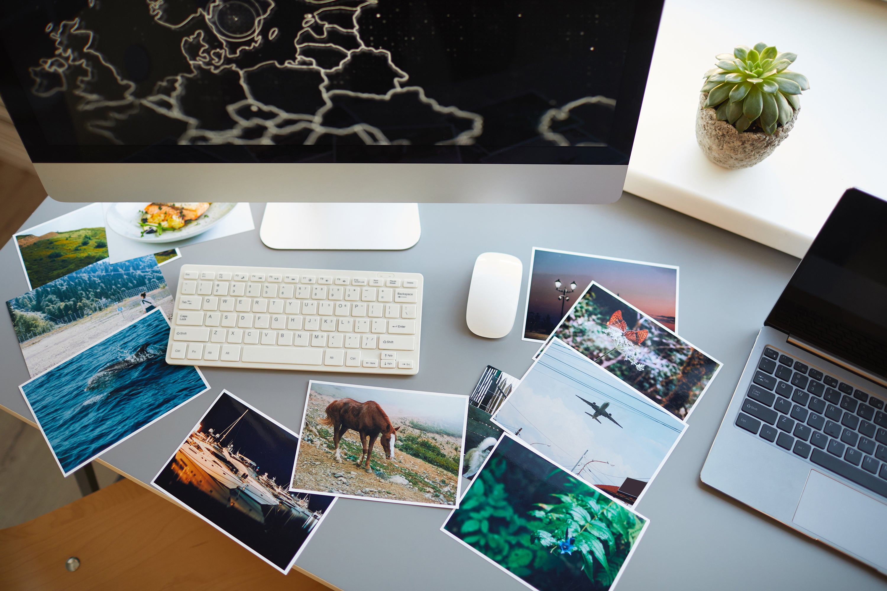 5 Reasons to Organize Your Photos & Videos