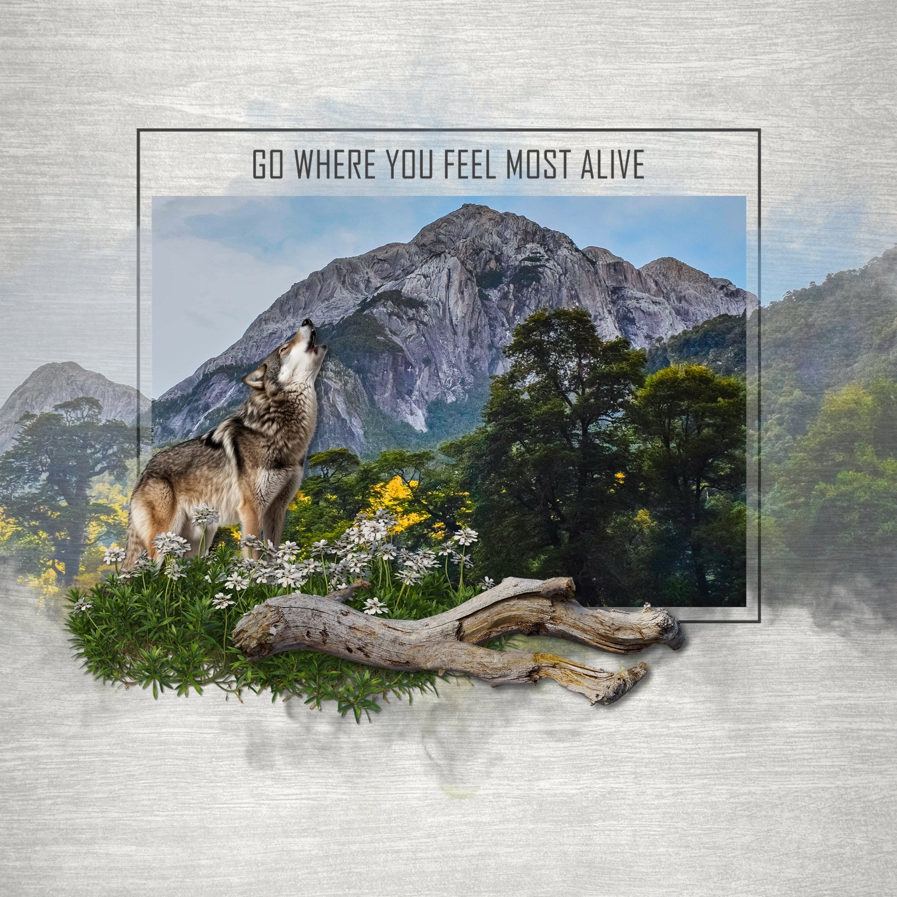 Showcase your family memories with these topographic and textured digital background papers by Lucky Girl Creative. Perfect for outdoor adventures in nature and adding warmth to all your mountain and camping pages. Each digital paper measures 12" x 12".