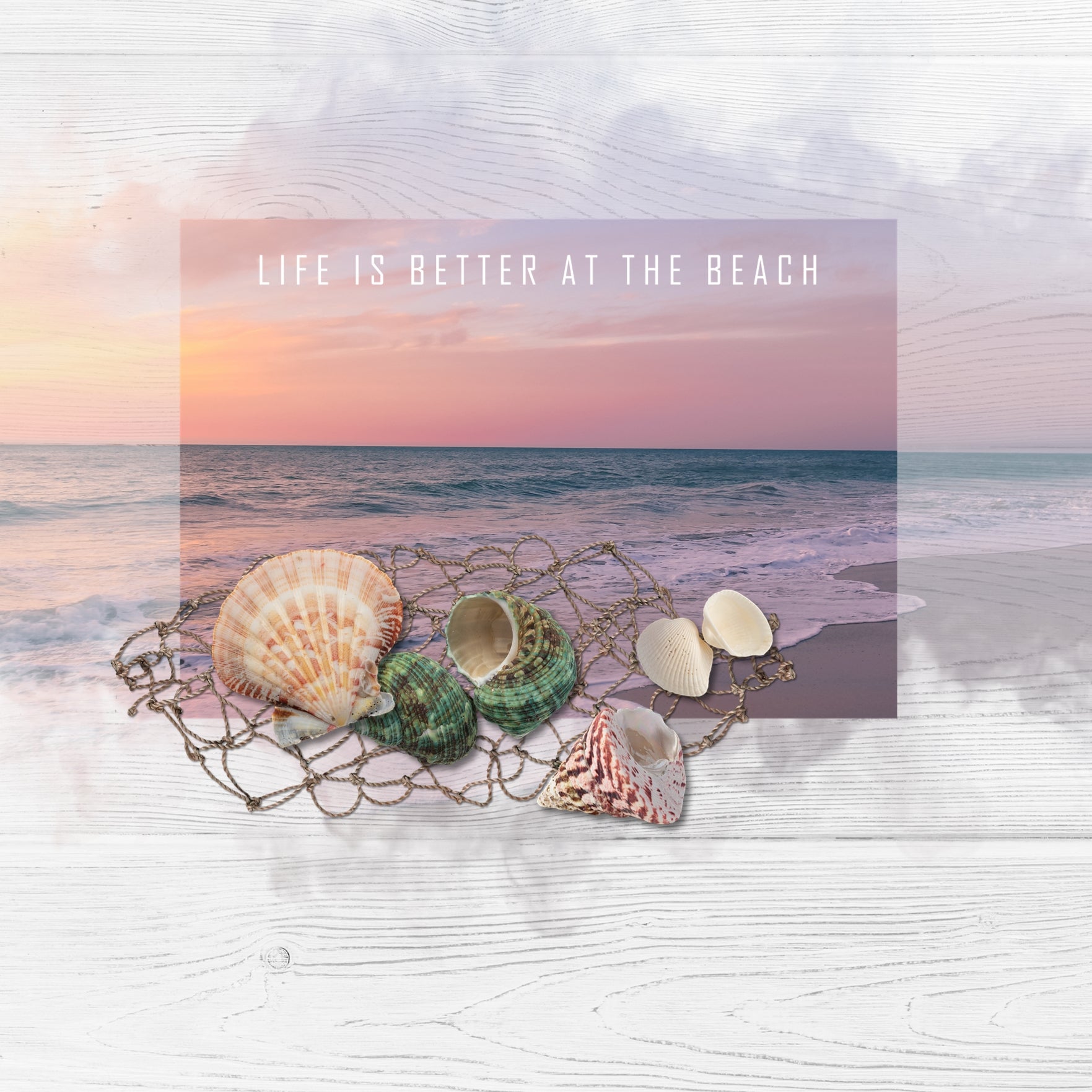 Around the Shore Shells Elements Digital Scrapbook Kit
