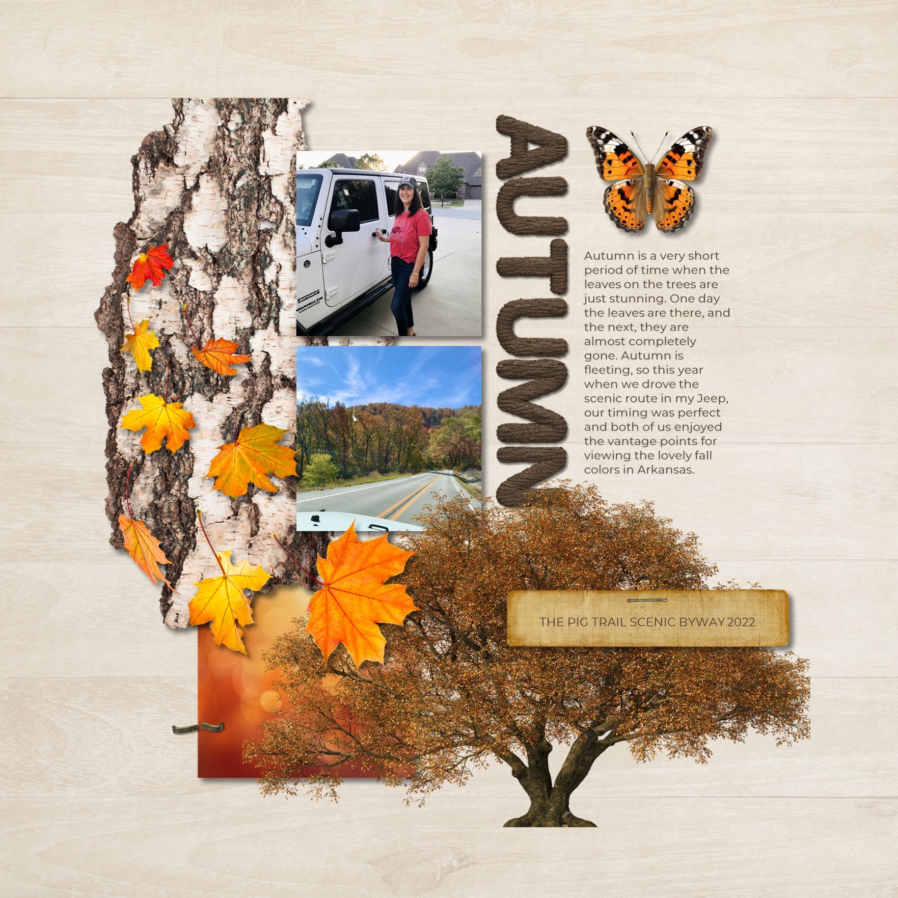 Fall is in the air and this seasonal tree digital art embellishments by Lucky Girl Creative will help you add those special touches to your projects all season long. Great for nature, outdoor, hiking, and cabin pages and even family tree layouts.