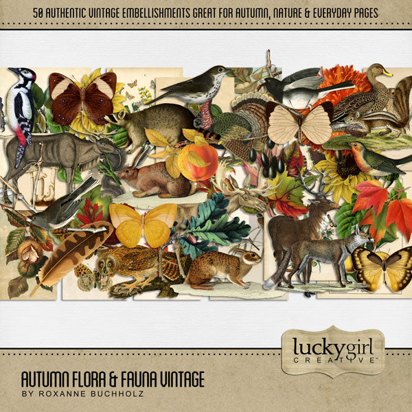 Fall is in the air and these autumn digital art essentials by Lucky Girl Creative  will help you add those special touches to your projects all season long. Created from vintage postcards and newspaper advertisements, these embellishments include birds, duck, feather, owl, turkey, woodpecker, stag, deer, fox, butterfly, moose, rabbit, bunny, racoon, reindeer, squirrel, leaves, leaf, owl, apple, pear, mushroom, and more!