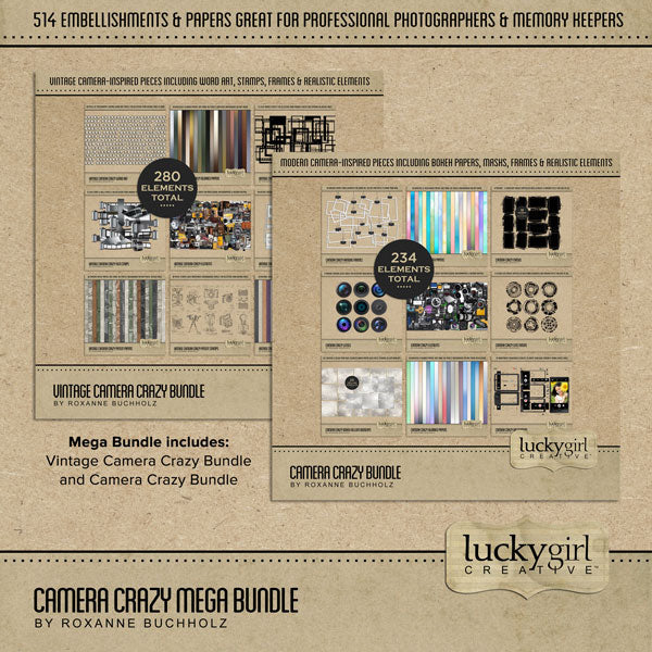 Camera Crazy Bokeh Vellum Overlays Digital Scrapbook Kit