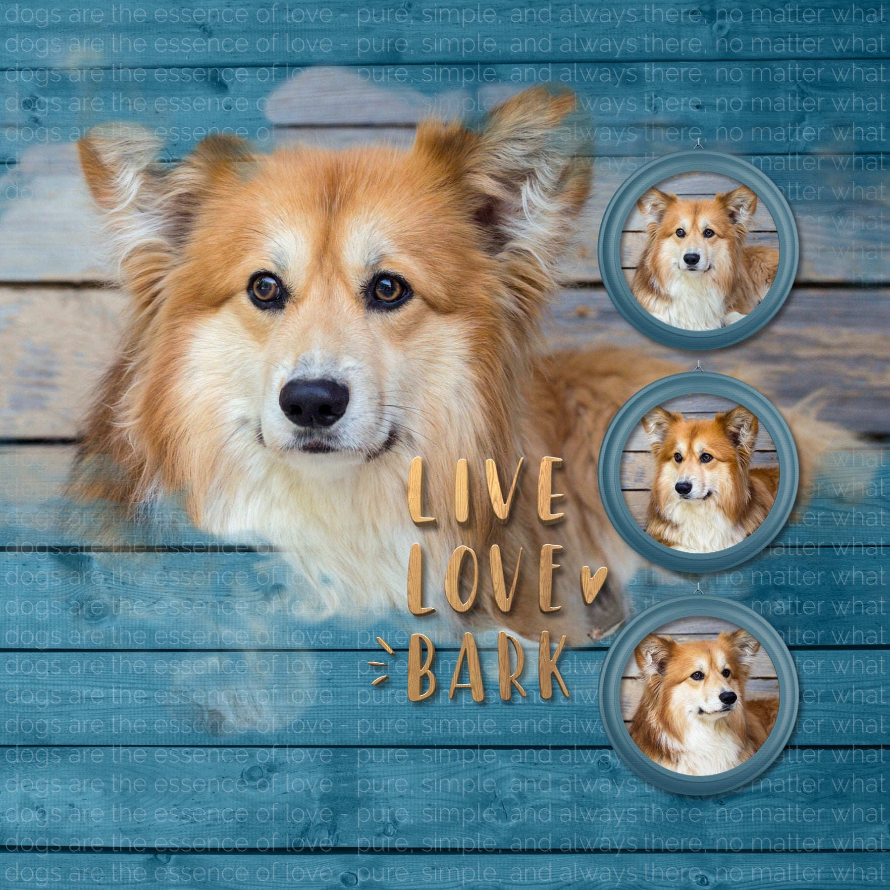 Have fun documenting your favorite dogs with these photo masks by Lucky Girl Creative that go edge to edge to your page for a dramatic cloud effect. Not only are these digital art masks great for your pets but they are great for everyday occasions, too!