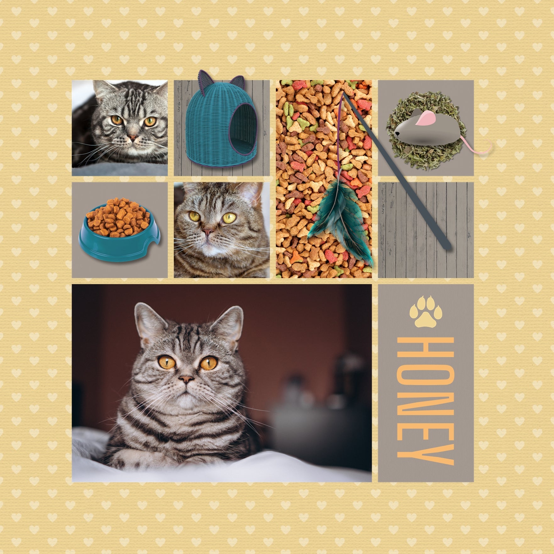 Have fun documenting your favorite cats with these fun digital art papers by Lucky Girl Creative. Filled with bright textures, wood tones, and realistic dry kitty food kibble, these background papers are perfect for many projects beyond just pets.