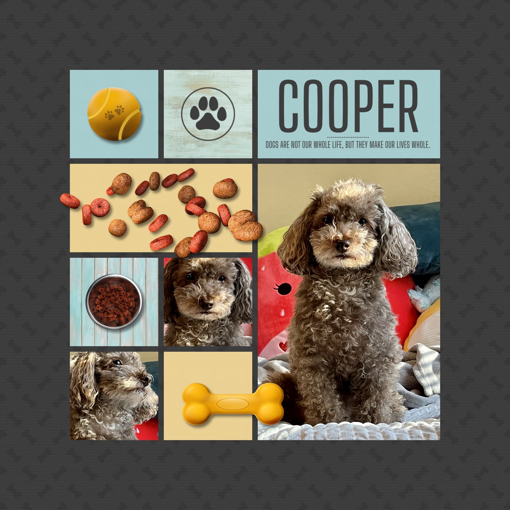 Cats Papers Digital Scrapbook Kit