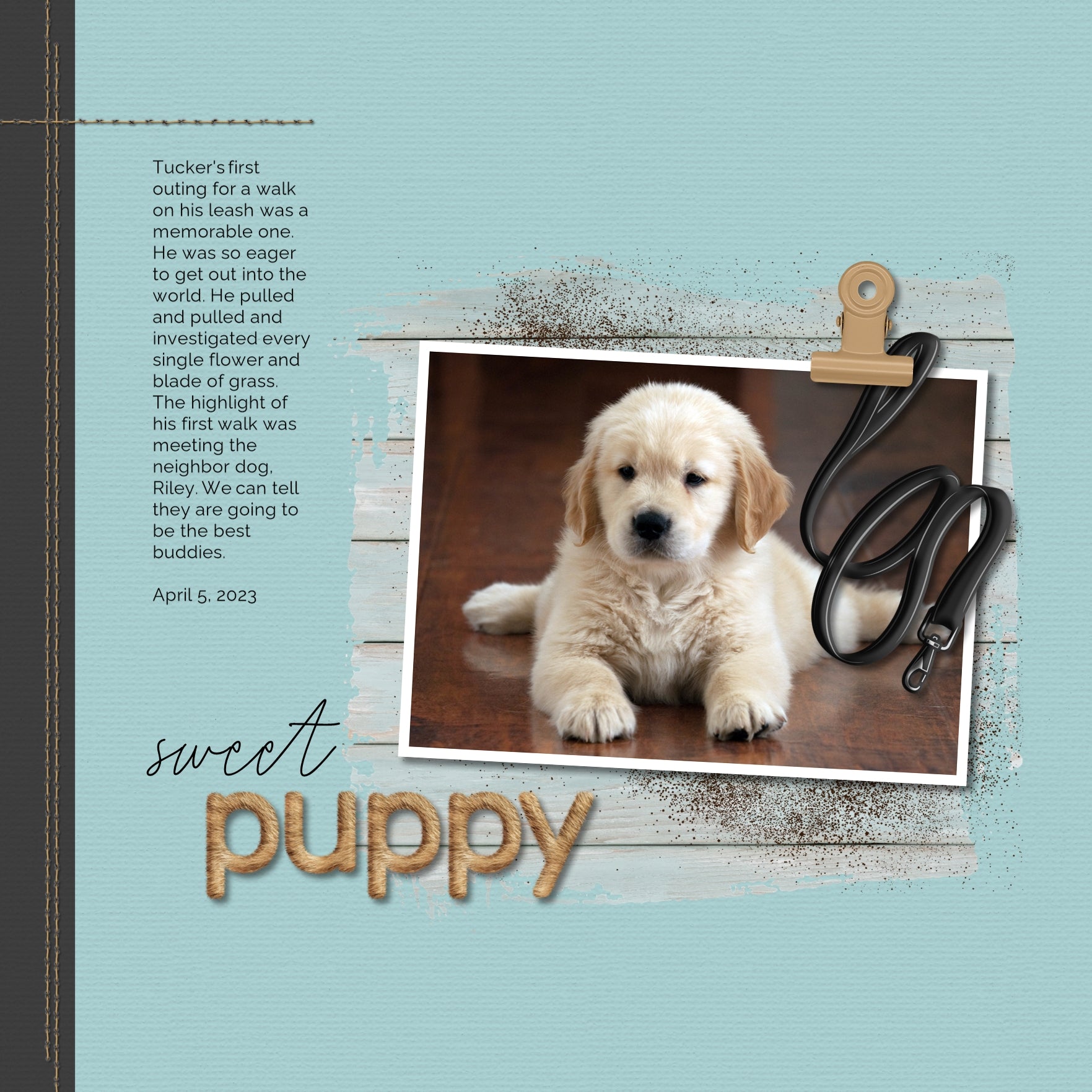 Have fun documenting your favorite dogs with this grunge photo masks kit by Lucky Girl Creative. Not only are these digital art masks great for your pets but they are great for everyday occasions, too!