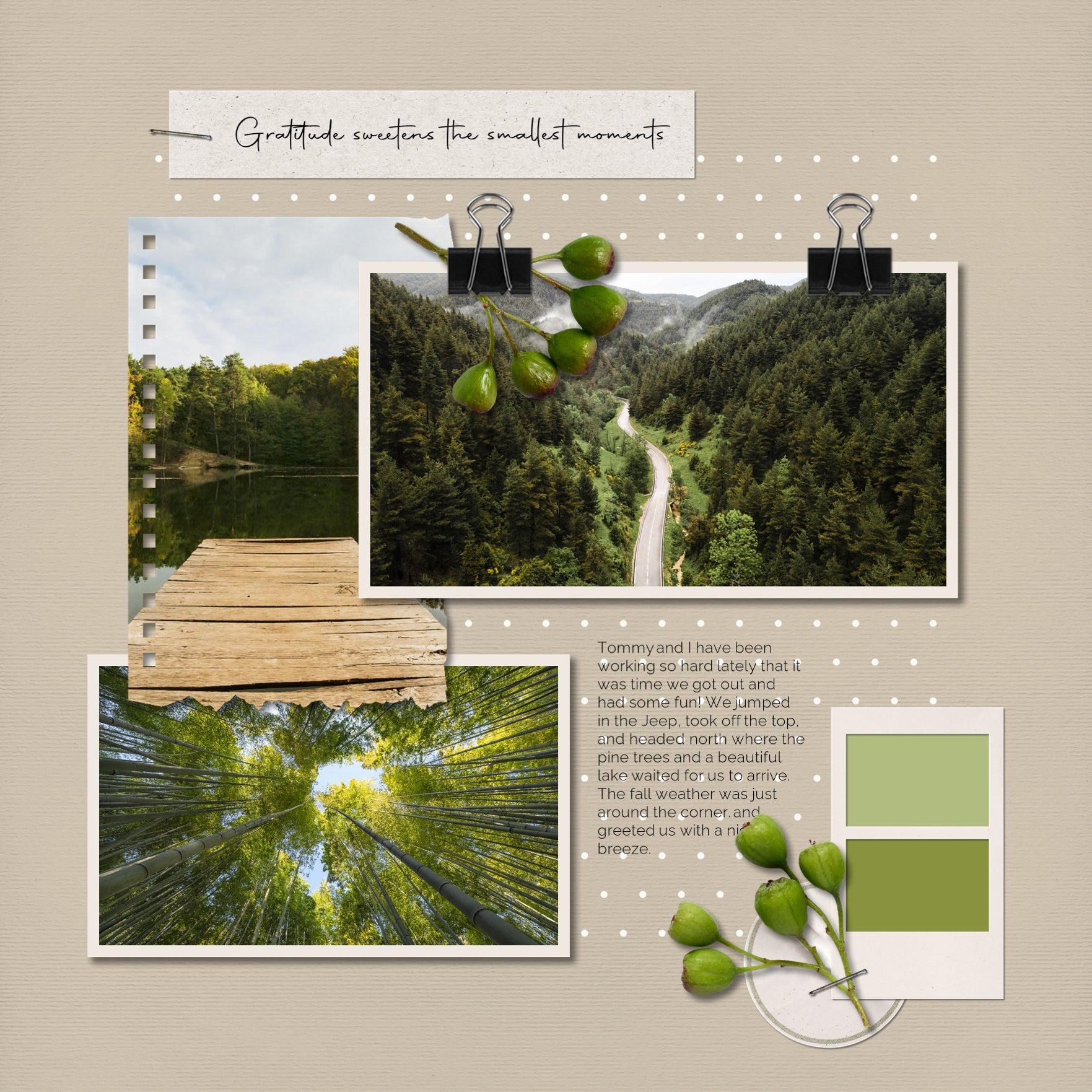 Designed with spring and early summer in mind, these beautiful embellishments and papers by Lucky Girl Creative highlight a color palette which is completely customizable and meant to accent your photos no matter the theme or occasion. Versatile enough for everyday, the bits of nature are designed to accent your favorite photos and allow your creativity to soar.