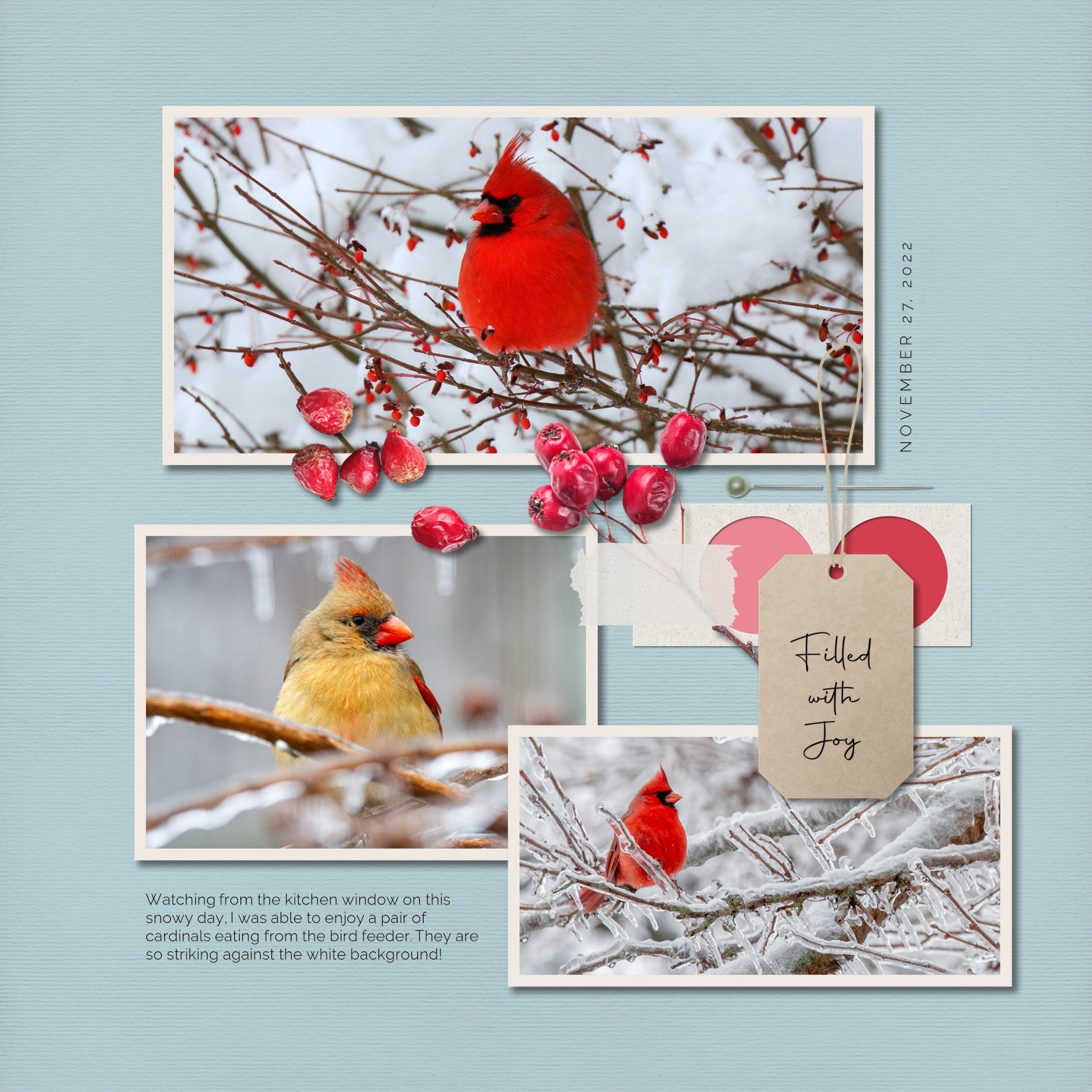 Designed with late summer, fall, and autumn in mind, these beautiful embellishments and papers by Lucky Girl Creative digital art highlight a color palette which is completely customizable and meant to accent your photos no matter the theme or occasion. Versatile enough for everyday, the bits of nature are designed to accent your favorite photos and allow your creativity to soar.