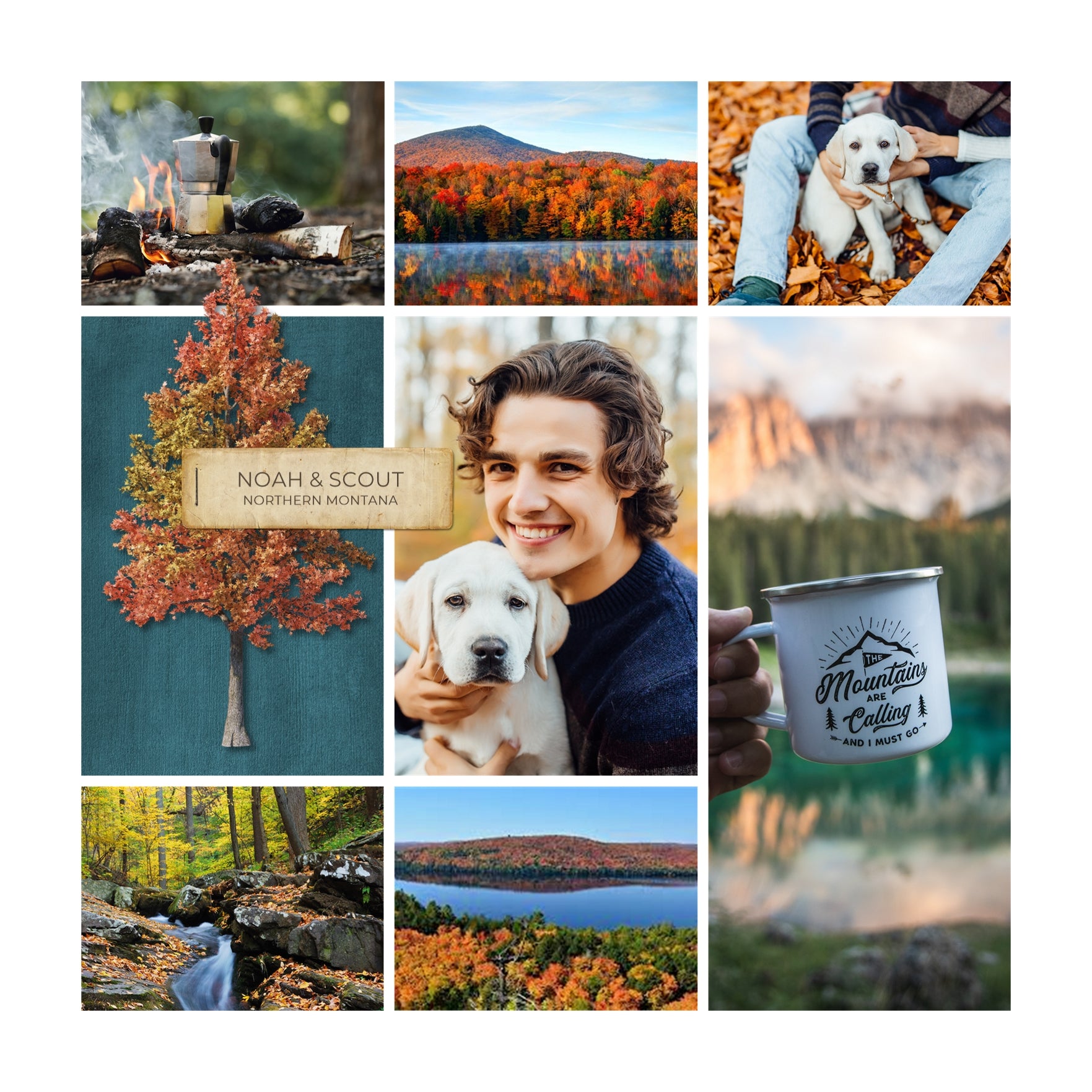 Seasonal trees are perfect for spring, summer, fall / autumn, and winter pages and albums. From tiny buds in spring and leafy green trees in summer to falling autumn leaves and snow covered trees, this digital art collection by Lucky Girl Creative is great for nature pages and even family tree layouts.