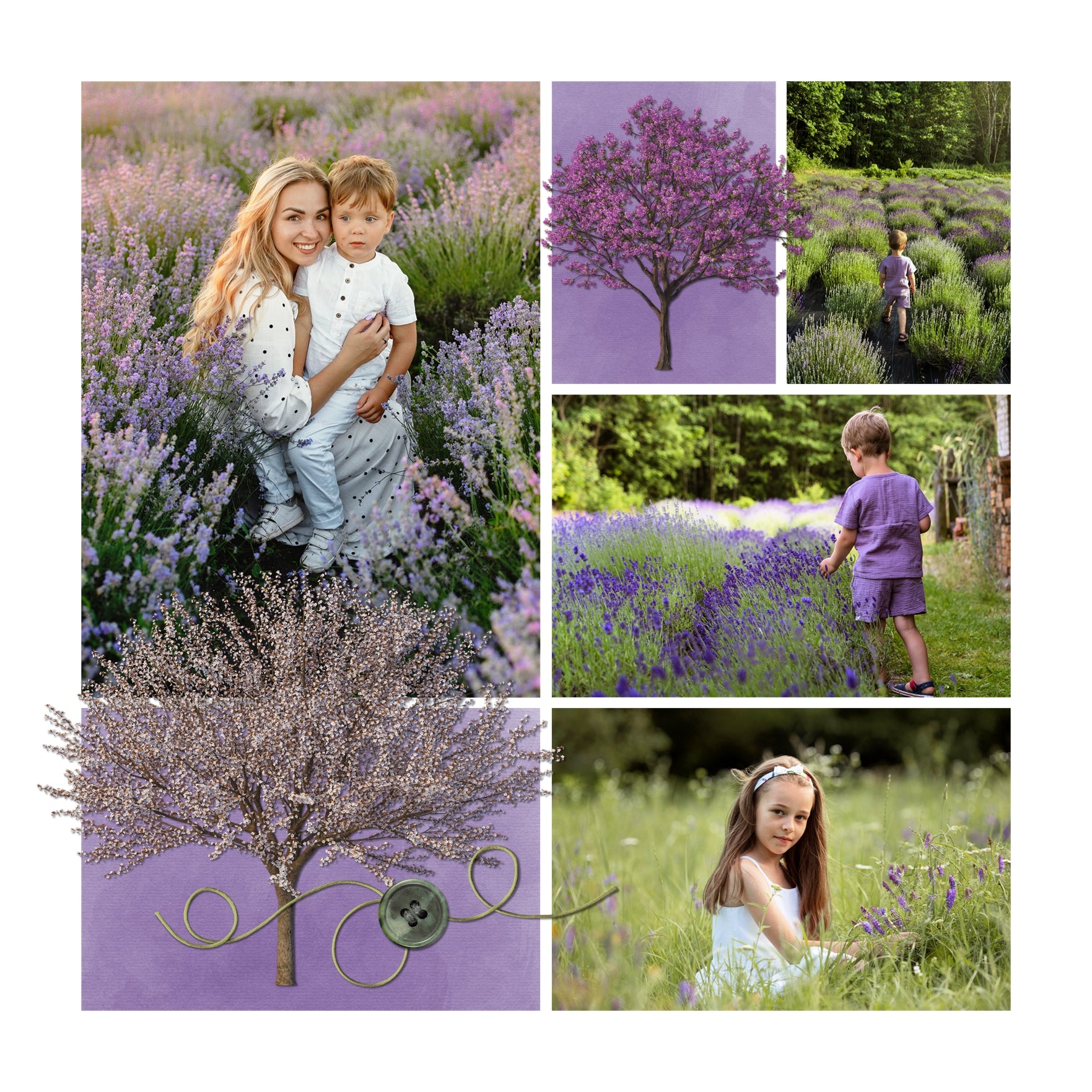 Seasonal trees are perfect for spring, summer, fall / autumn, and winter pages and albums. From tiny buds in spring and leafy green trees in summer to falling autumn leaves and snow covered trees, this digital art collection by Lucky Girl Creative is great for nature pages and even family tree layouts.