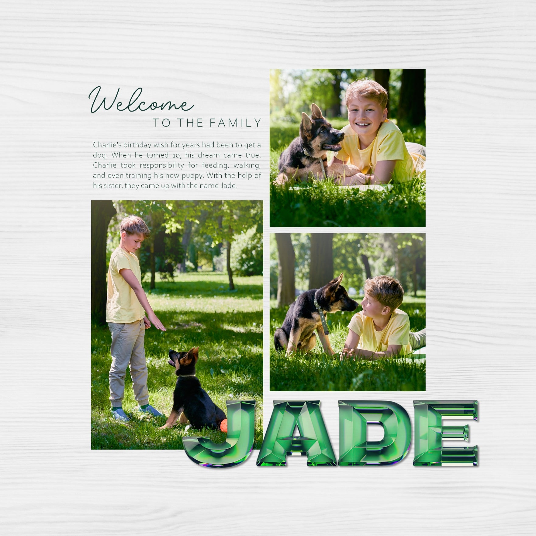 Showcase your family memories with this versatile emerald gem digital alpha set by Lucky Girl Creative. Perfect for Halloween, St. Patrick's Day, wedding or anniversary parties, or forest or tropical adventures. The entire collection is inspired by the Wizard of Oz with an Over the Rainbow theme. The Emerald City Alpha Set consists of a full set of digital art uppercase letters, lowercase letters, numbers 0-9, and most punctuation marks. This alpha set is available as individual embellishments only.