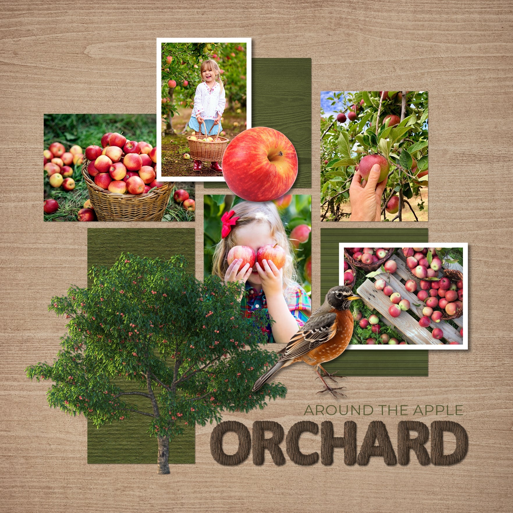 Accent your nature, gardening, and seasonal pages with beautiful digital art fruit trees by Lucky Girl Creative. Fruit trees include apple, avocado, banana, cherry, fig, lemon, lime, mango, orange, pear, pomegranate, tangerine, tropical, and more!