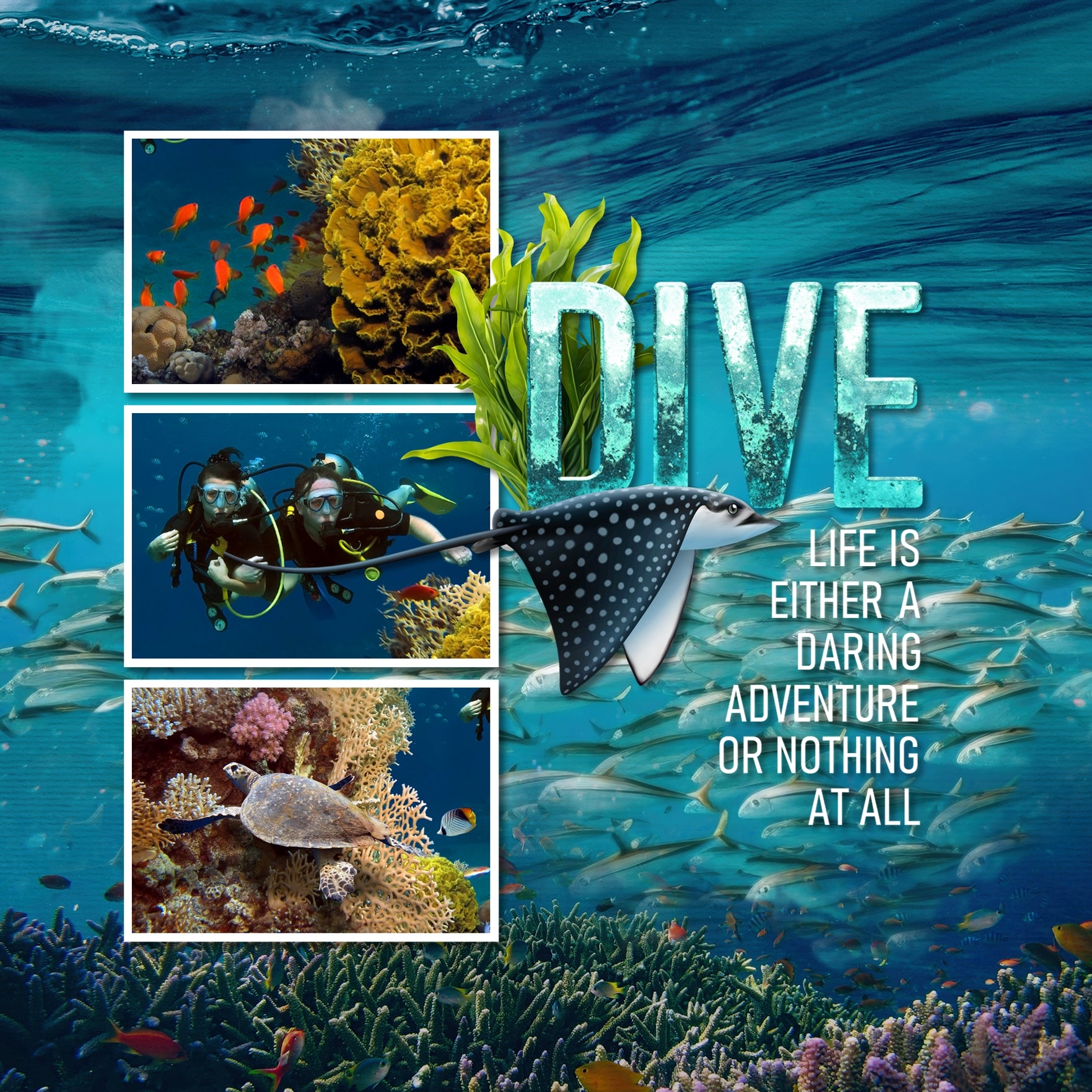 Highlight your vacation memories with these realistic underwater digital art ocean embellishments by Lucky Girl Creative. With transparent edges, these masked photographs blend seamlessly into any background paper and make the perfect backdrop for all travel, vacation, and holiday pages including trips to the beach, Great Barrier Reef, Hawaii, the Caribbean Sea, Florida, and other scuba dive, snorkel, and swim adventures. They can even be used for trips to the aquarium, sailing, and boating, too!