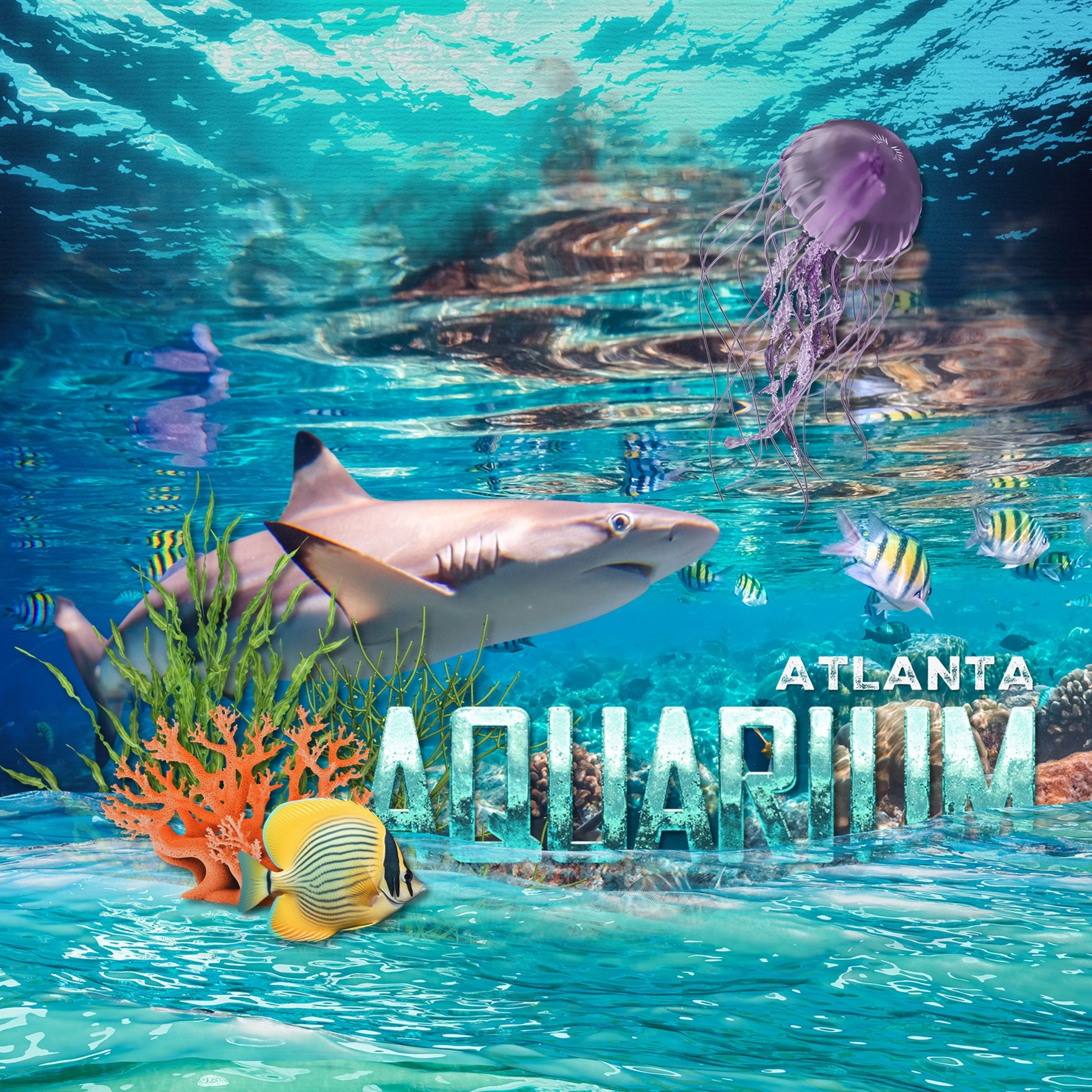 Highlight your vacation memories with these realistic underwater digital art ocean embellishments by Lucky Girl Creative. With transparent edges, these masked photographs blend seamlessly into any background paper and make the perfect backdrop for all travel, vacation, and holiday pages including trips to the beach, Great Barrier Reef, Hawaii, the Caribbean Sea, Florida, and other scuba dive, snorkel, and swim adventures. They can even be used for trips to the aquarium, sailing, and boating, too!
