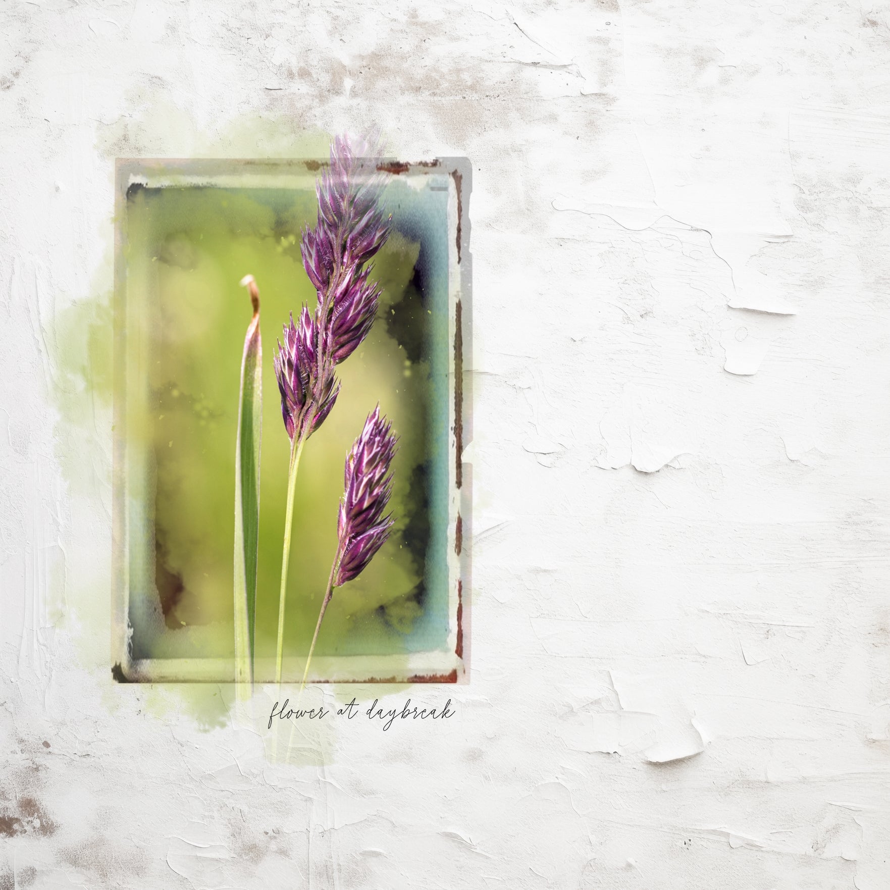 Accent your pages with these beautiful digital scrapbooking grunge textured photo transfer papers, frames, and overlays by Lucky Girl Creative digital art. Perfect for creating photo blend layers with a photographic look. The fine art frames can be layered over or under photos, then play with blend modes to create a one-of-a-kind look or vintage feel.
