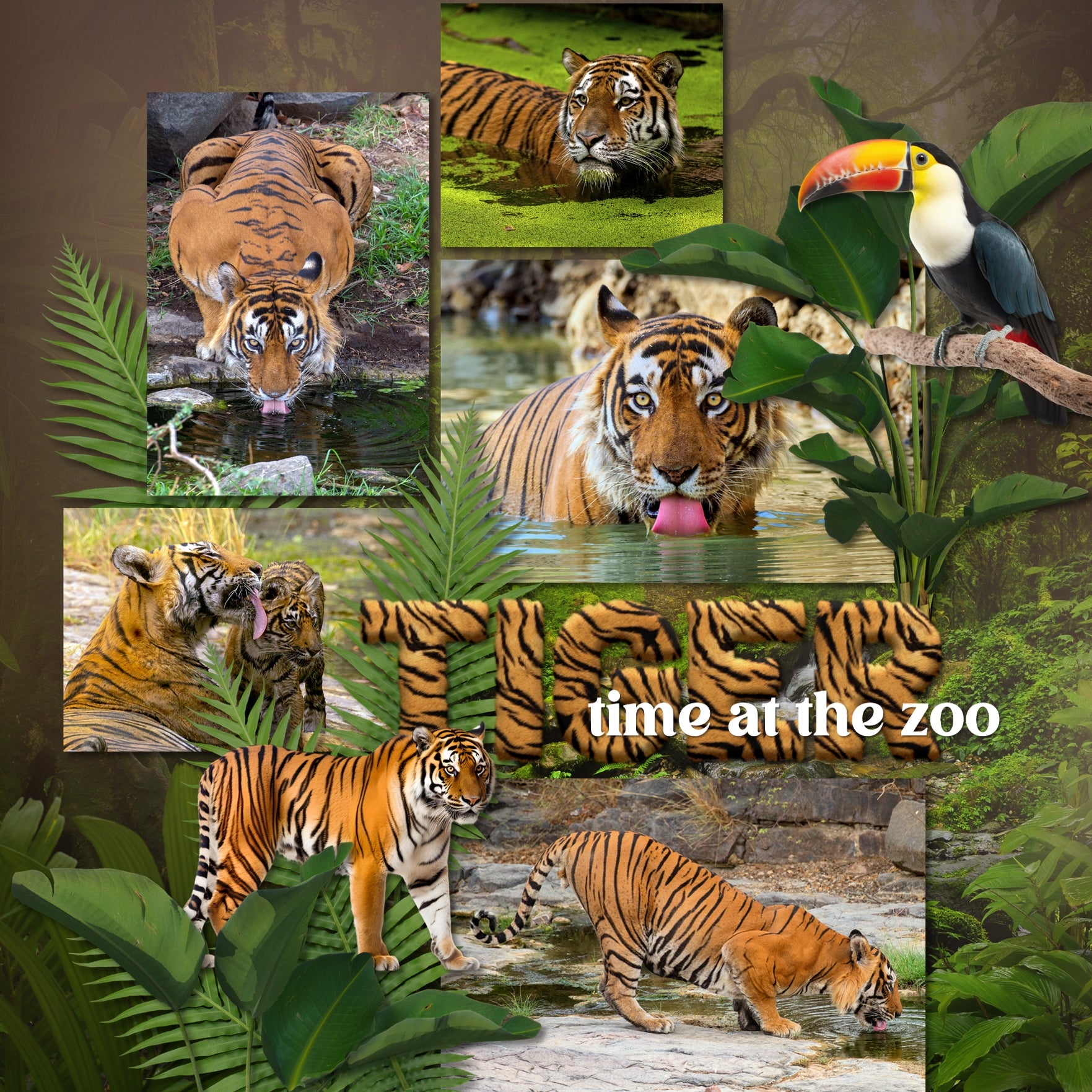 Explore nature and the outdoors with this beautiful realistic digital scrapbooking jungle flora and fauna embellishments, papers, and alpha set bundle by Lucky Girl Creative digital art. Great for tropical vacations, hiking, camping, nature walks, the zoo, and more. Embellishments include bird, cockatoo, hummingbird, parrot, peacock, toucan, capybara, crab, crocodile, alligator, fish, frog, lizard, reptile, bug, insect, beetle, ant, dragonfly, ladybug, mosquito, spider, monkey, and more.