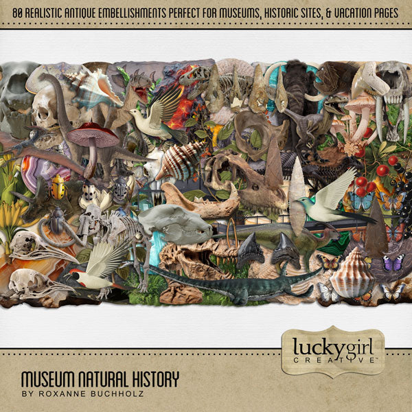 Beautifully curated by Lucky Girl Creative digital art, the Museum Natural History digital scrapbook kit features realistic antique artifacts, ancient gems and crystals, pre-historic dinosaurs, fossils, botanicals, and more from across the world. Perfect for documenting school field trips to the museum, vacations to historic sites, travel, genealogy, family history, hobbies, and more! Embellishments include archaeology dig, bird, bone, botanicals, dinosaurs, fossils, gems, and more.