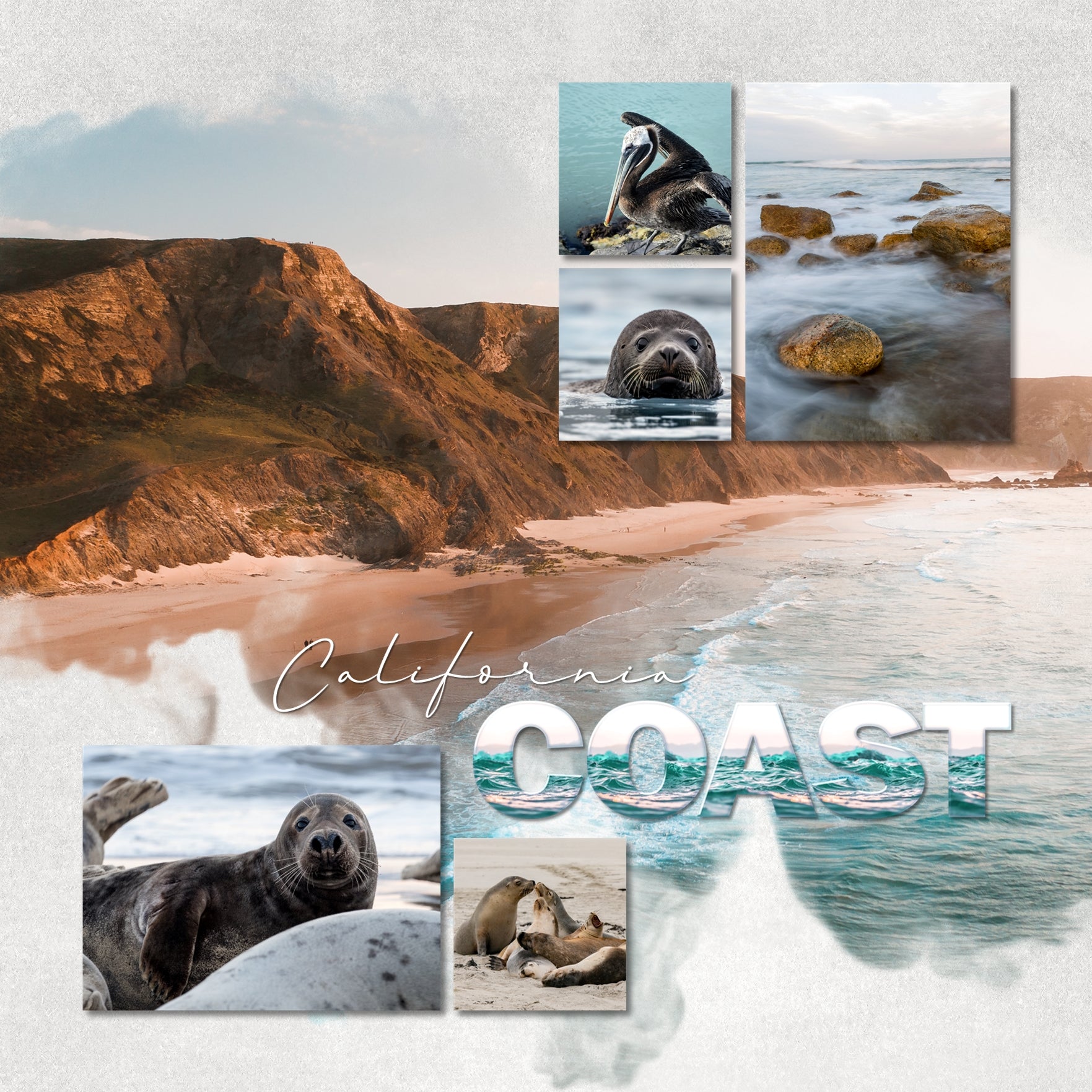 Accent your beach, ocean, and sea pages with these fun digital art alpha embellishments by Lucky Girl Creative. Great for Caribbean vacations, California adventures South Pacific holidays, and pages of Australia and the Great Barrier Reef.