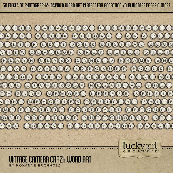 Vintage Camera Crazy Word Art Digital Scrapbook Kit