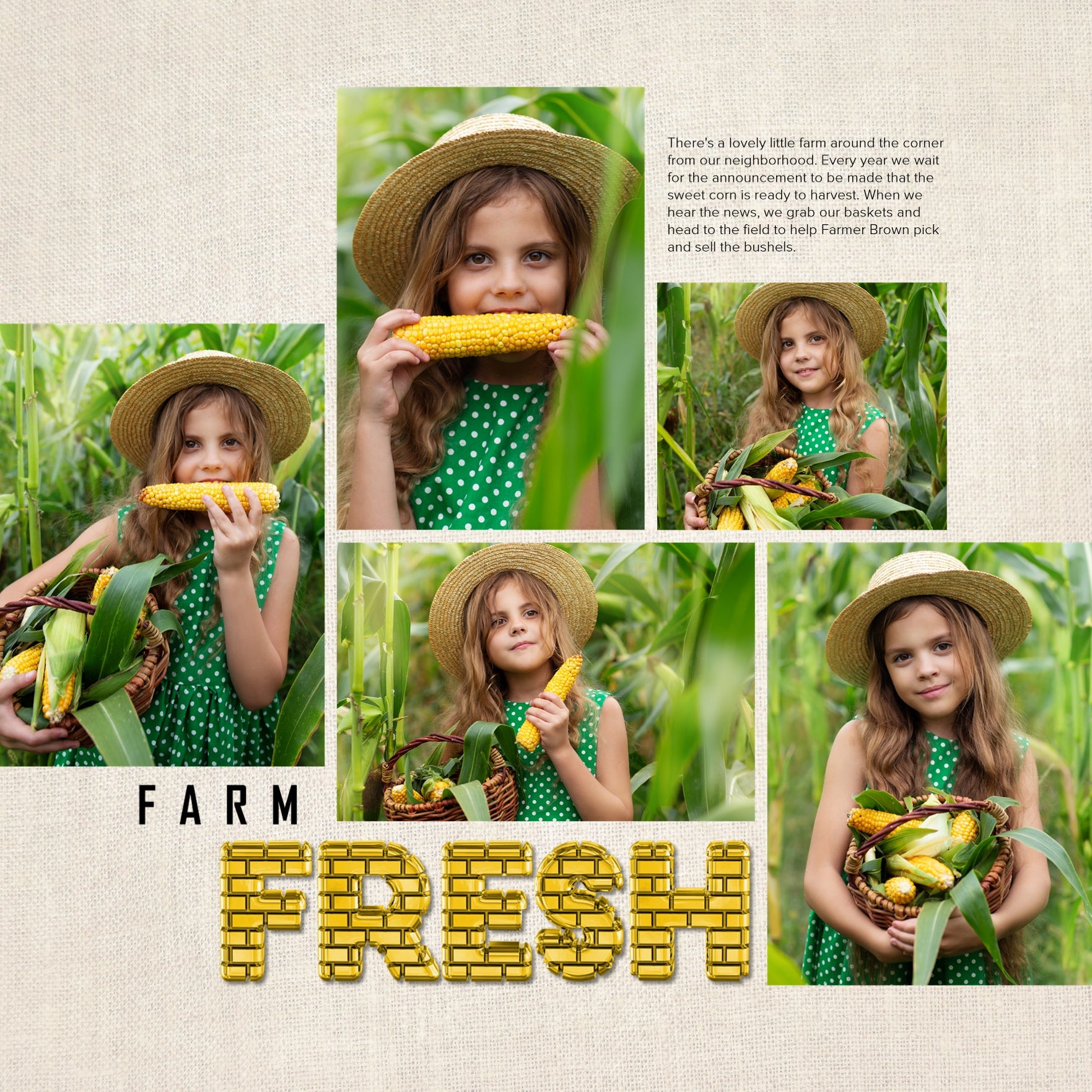 Showcase your family memories with this versatile yellow brick digital alpha set by Lucky Girl Creative. Perfect for Halloween, farm, construction work, home and garden, or city adventures. The entire collection is inspired by the Wizard of Oz with an Over the Rainbow theme. The Yellow Brick Alpha Set consists of a full set of digital art uppercase letters, lowercase letters, numbers 0-9, and most punctuation marks. This alpha set is available as individual embellishments only.