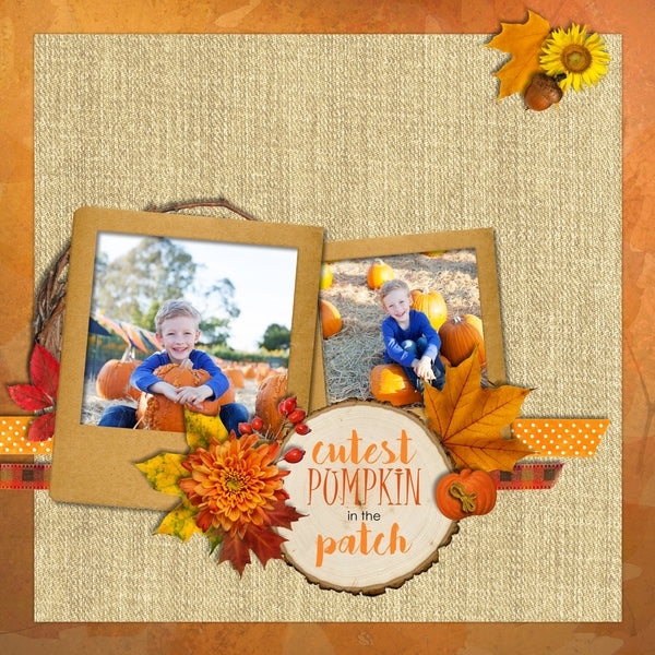 Fall is in the air and these autumn digital art essentials will help you add those special touches to your digital scrapbook pages and albums all season long. Features leaves, woodland birds and butterflies, mushrooms, wood slices, flowers, and more!