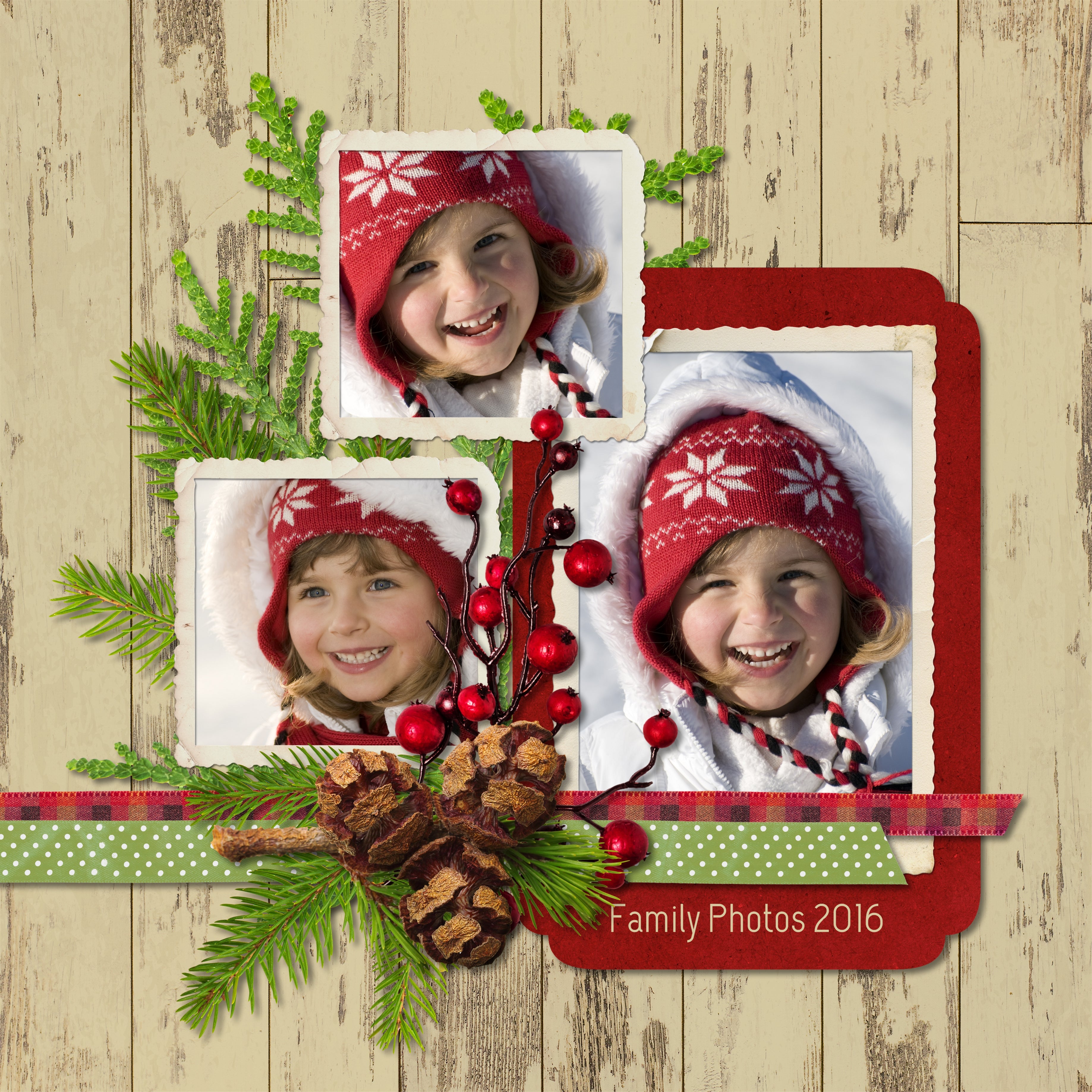 Winter is here and these seasonal digital art essentials will help you add those special touches to your digital scrapbook pages and albums all season long. Features woodland animals, evergreen pin, berries, pinecones, poinsettia, and more!