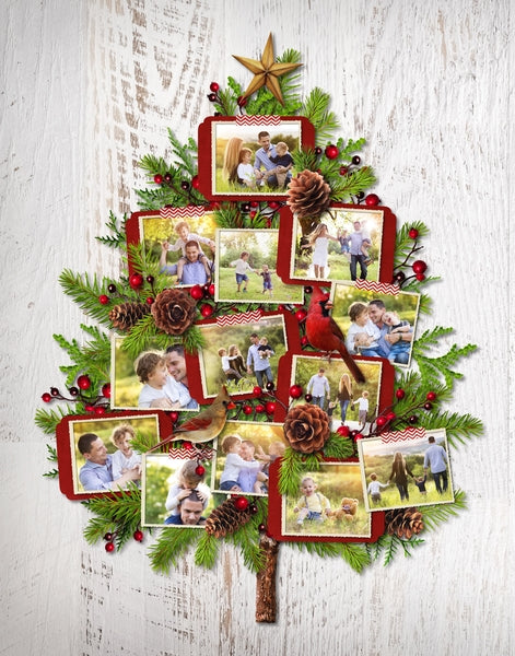 Colors of Winter Elements Digital Scrapbook Kit