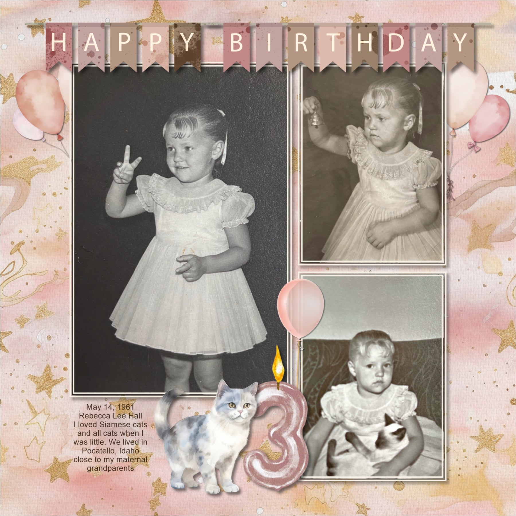 Celebrate the woman or girl in your life with these feminine watercolor embellishments, papers, word art, and clusters by Lucky Girl Creative digital art for digital scrapbooking. Great for birthday, girls night out, celebrations, and other girly activities. Embellishments include kitty, cat, balloon, banner, bunting, bathtub, book, bouquet, flowers, cake, candle, chair, clipboard, dress, confetti, streamer, crown, champagne, coffee, wine, envelope, avocado toast, Bundt cake, cheese, chocolate, strawberries
