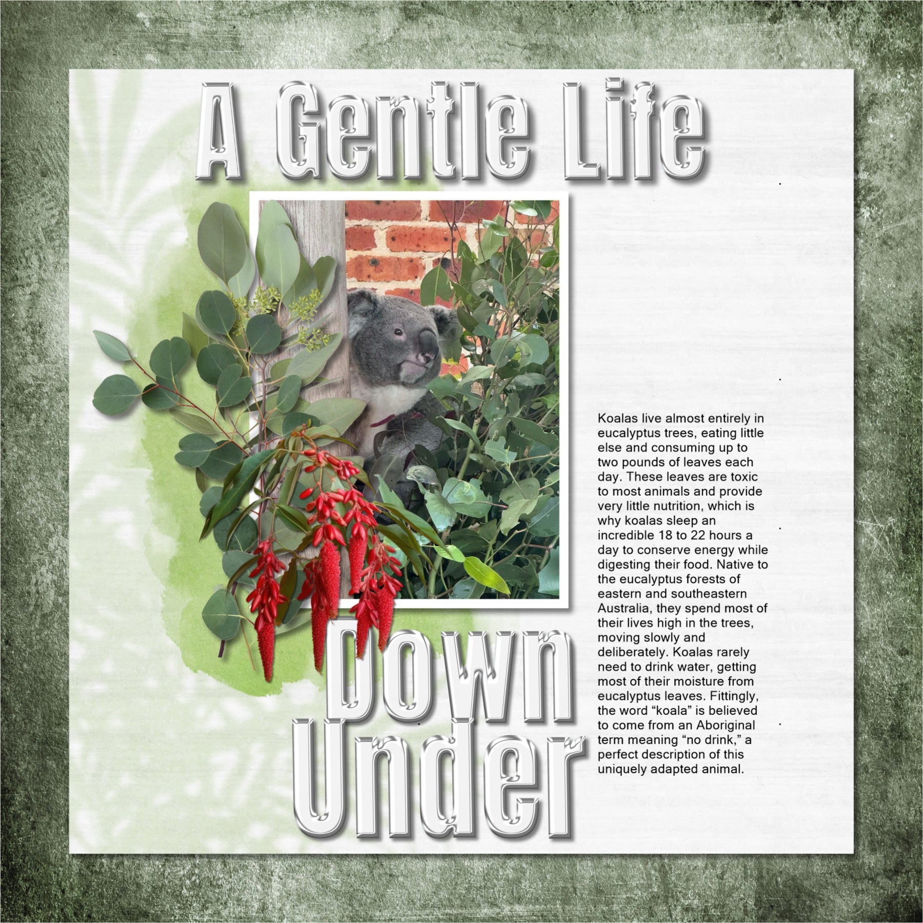 Create one-of-a-kind page titles with these versatile Australian word art embellishments and coordinated alpha sets in white, black, blue, and red by Lucky Girl Creative digital art! Word Art includes 26 January, Aboriginal, Ambassadors, Anniversary, Australia, Australian, Barbeque, Barbecue, Barbie, Celebrate, Citizenship, Concert, Day, Fireworks, First Fleet, First Nations, Foundation, Holiday, Indigenous, Invasion, Islander, Mourning, Parage, Peoples, Reflect, Regatta, Respect, Sovereignty, Sports.