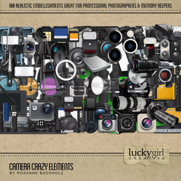 Camera Crazy Elements Digital Scrapbook Kit
