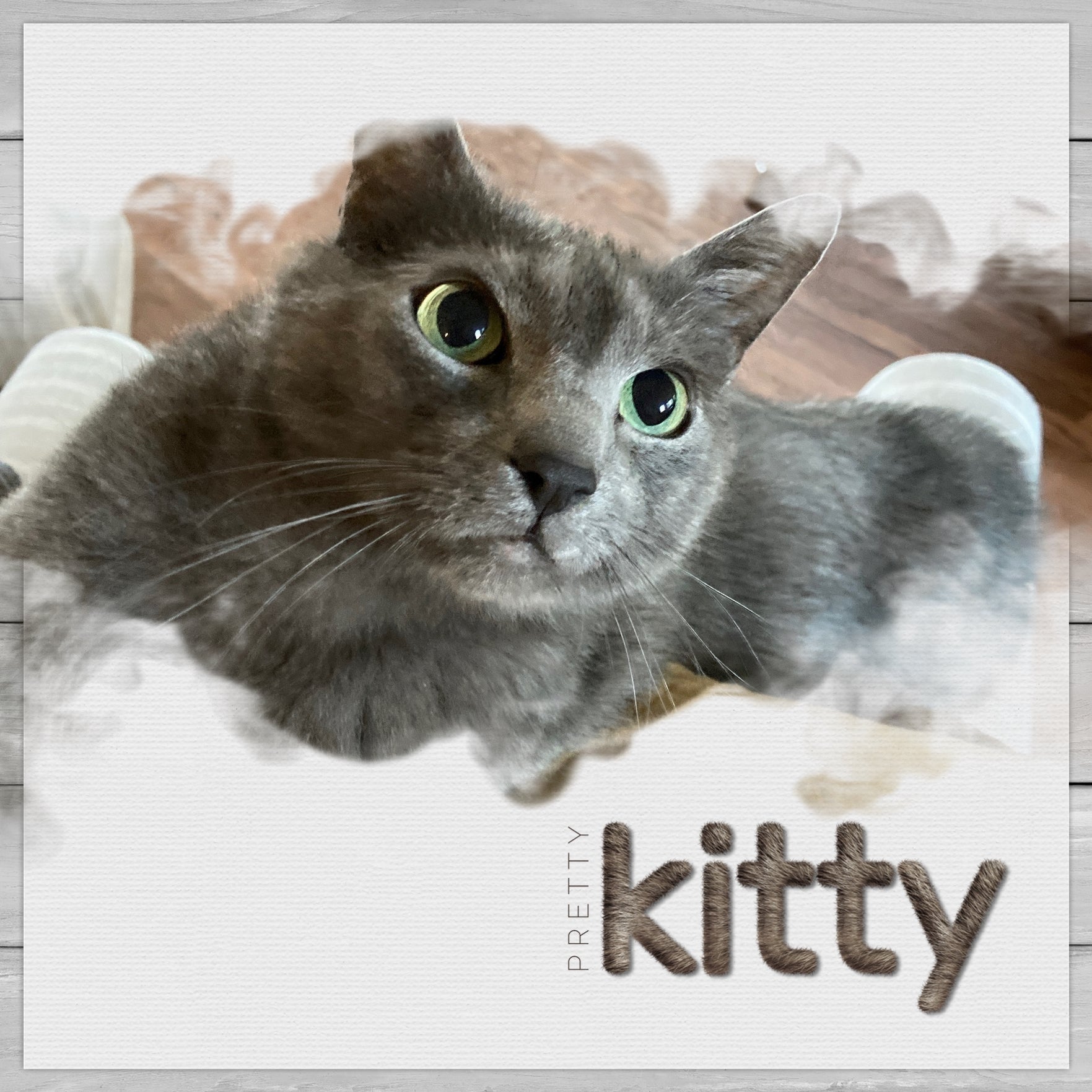 Have fun documenting your favorite cats with these photo masks by Lucky Girl Creative that go edge to edge to your page for a dramatic cloud effect. Not only are these digital art masks great for your pets but they are great for everyday occasions, too!