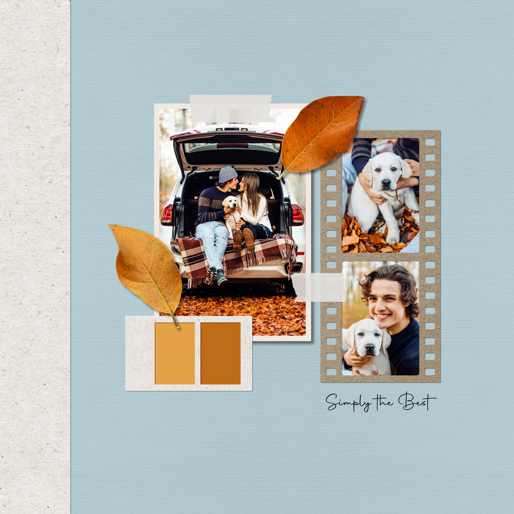 Designed with late summer, fall, and autumn in mind, these beautiful embellishments and papers by Lucky Girl Creative digital art highlight a color palette which is completely customizable and meant to accent your photos no matter the theme or occasion. Versatile enough for everyday, the bits of nature are designed to accent your favorite photos and allow your creativity to soar.