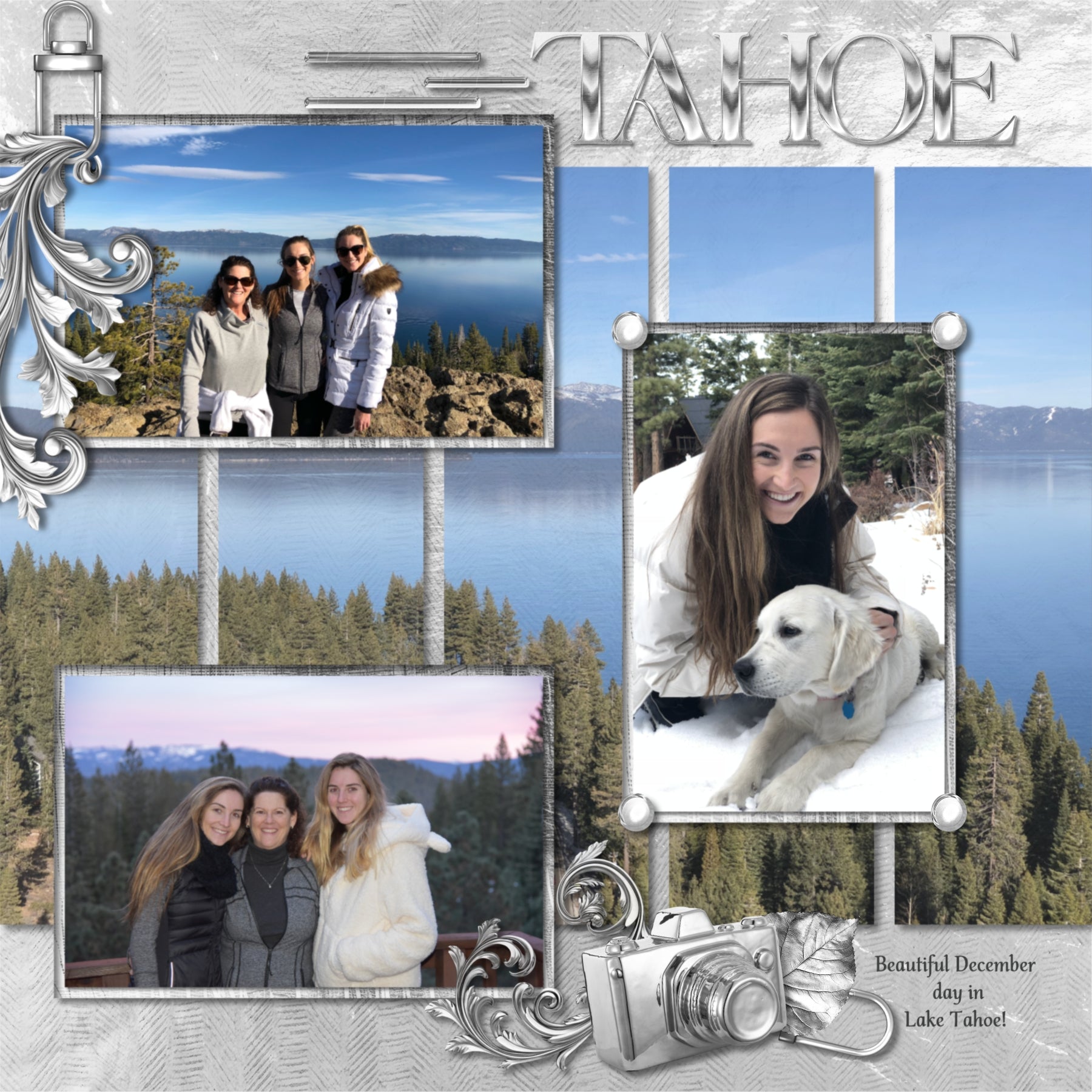 Collect the entire series of Curated Colors by Lucky Girl Creative digital art! Access your digital art in easy-to-use coordinated color palettes. Add these silver embellishments, textured and wood papers, alpha set, and everyday wire word art to all your digital scrapbooking pages and mix-and-match them on various projects throughout the year! Silver embellishments include fish, dog, puppy, futuristic automobile, car, heart balloon, star balloons, banner, pennant, basket, eye dropper, bow tie, and more.