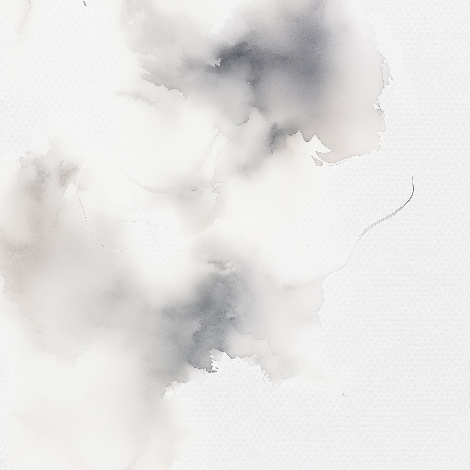 Create your own beautiful watercolor backgrounds with these semi-transparent ink splash overlays and textured white watercolor background papers by Lucky Girl Creative digital art. Simply add one or more of these overlays to a background paper of your choice to create a one-of-a-kind digital scrapbooking page. Great for any theme or occasion!