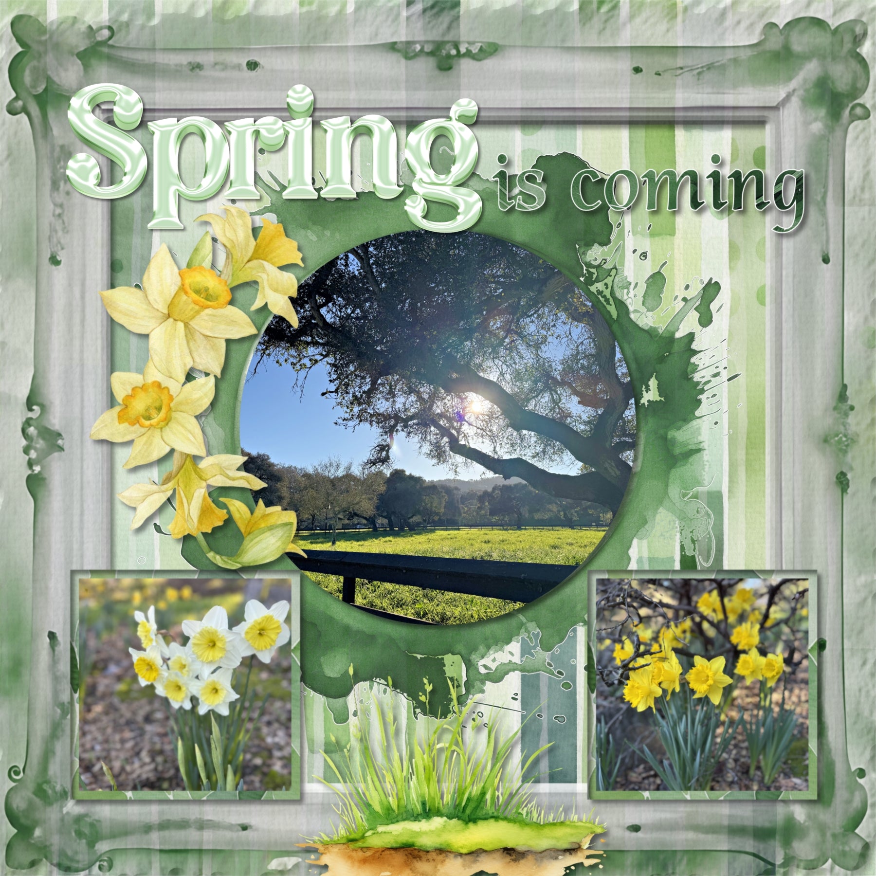 Create beautiful sunny spring, garden, and outdoor pages with these inspirational green watercolor background papers by Lucky Girl Creative digital art for digital scrapbooking. Great for St. Patrick's Day, Christmas, camping, and outdoor pages, too!
