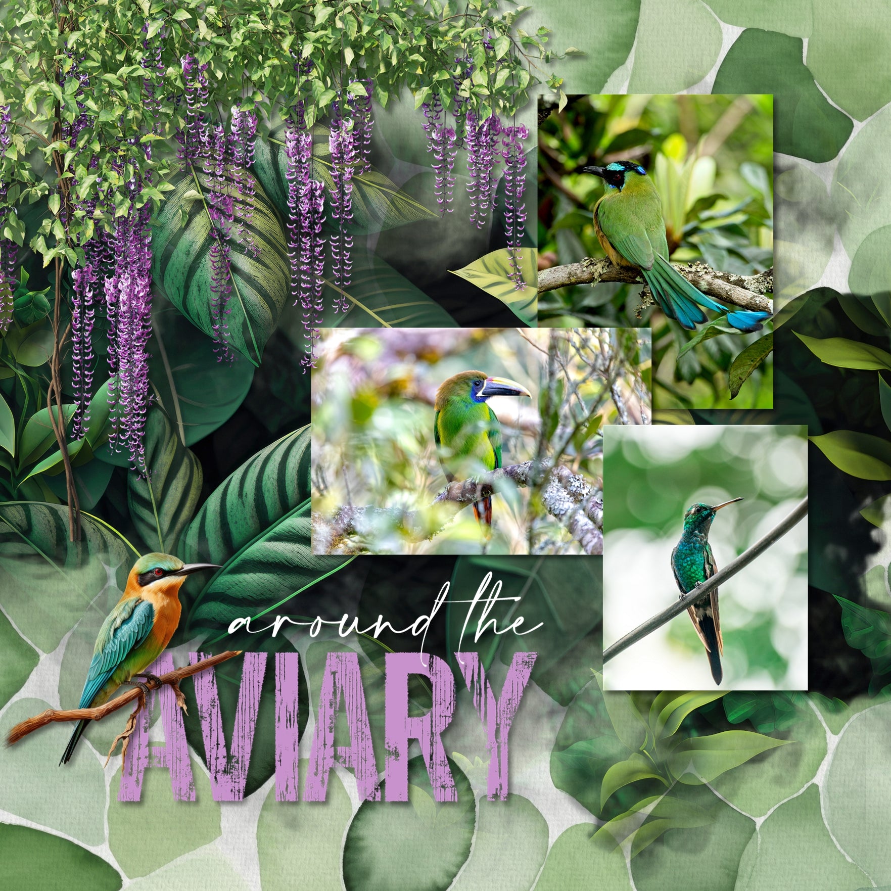 Create beautiful sunny spring, garden, and outdoor pages with these inspirational green watercolor background papers by Lucky Girl Creative digital art for digital scrapbooking. Great for St. Patrick's Day, Christmas, camping, and outdoor pages, too!
