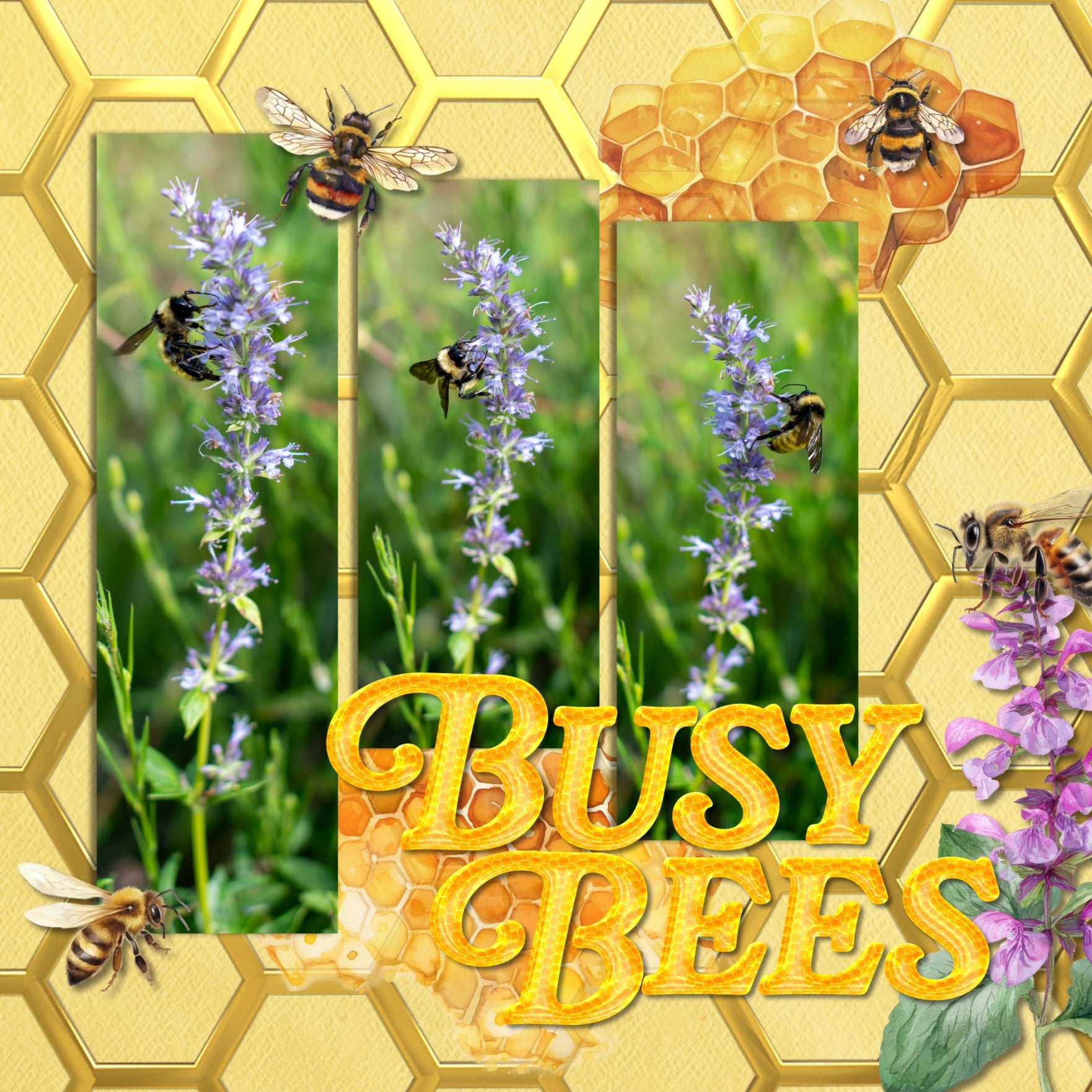 Showcase your favorite desserts, restaurants, recipes, and cookbook favorites with these fun digital scrapbooking alphabet letters, numbers, and punctuation by Lucky Girl Creative digital art great for creating one-of-a-kind digital scrapbooking page titles. Great for sweet treats, hot summer days, and beekeeping! This alpha set consists of a full set of digital art uppercase letters A-Z, lowercase letters a-z, numbers 0-9, and most punctuation. This alpha set is available as individual embellishments only.