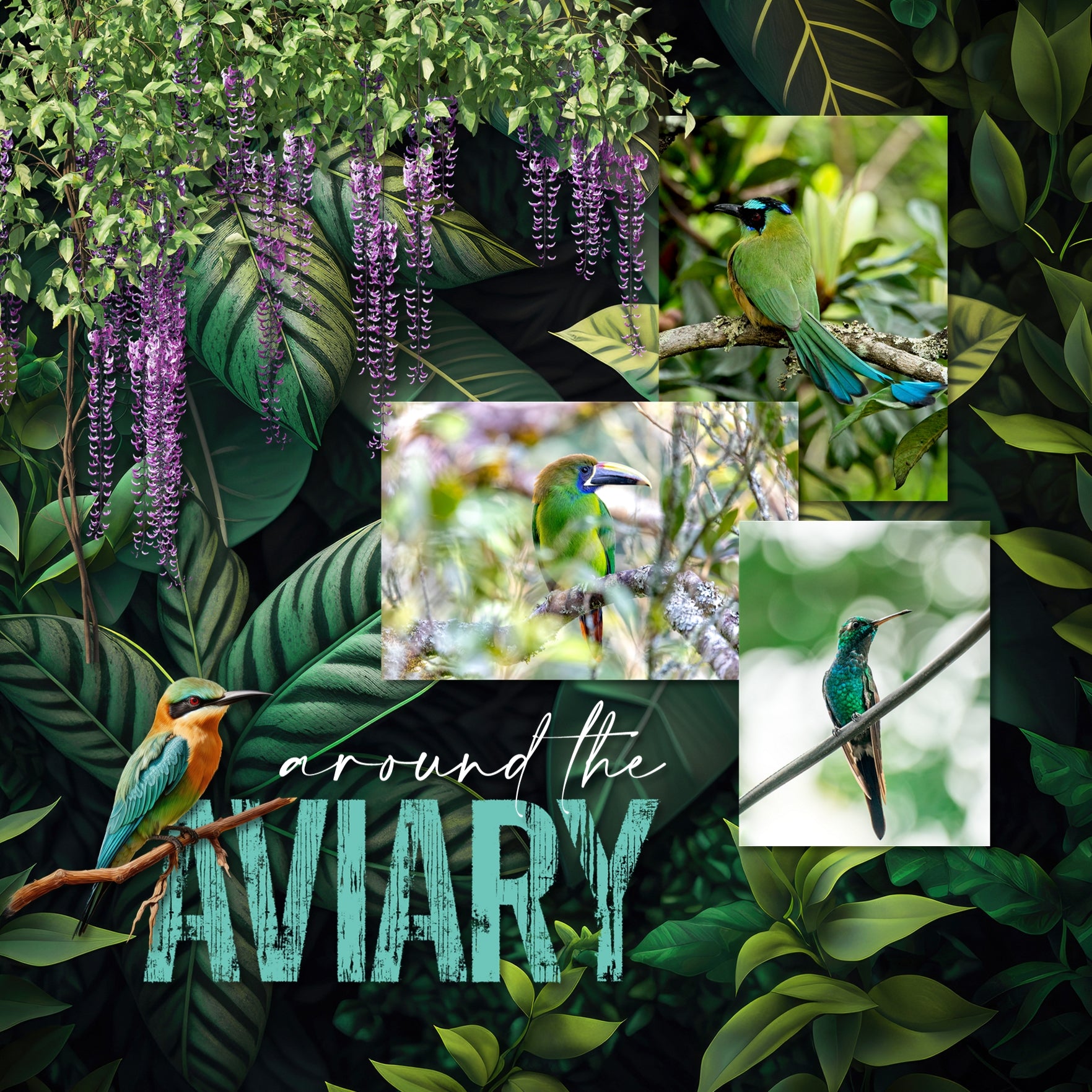 Explore nature and the outdoors with this beautiful realistic digital scrapbooking jungle flora and fauna embellishment kit by Lucky Girl Creative digital art. Great for tropical vacations, hiking, camping, nature walks, the zoo, and more. Embellishments include bird, cockatoo, hummingbird, parrot, peacock, toucan, capybara, crab, crocodile, alligator, fish, frog, lizard, reptile, bug, insect, beetle, ant, dragonfly, ladybug, mosquito, spider, monkey, chimpanzee, Proboscis, Orangutan, panther, and more.