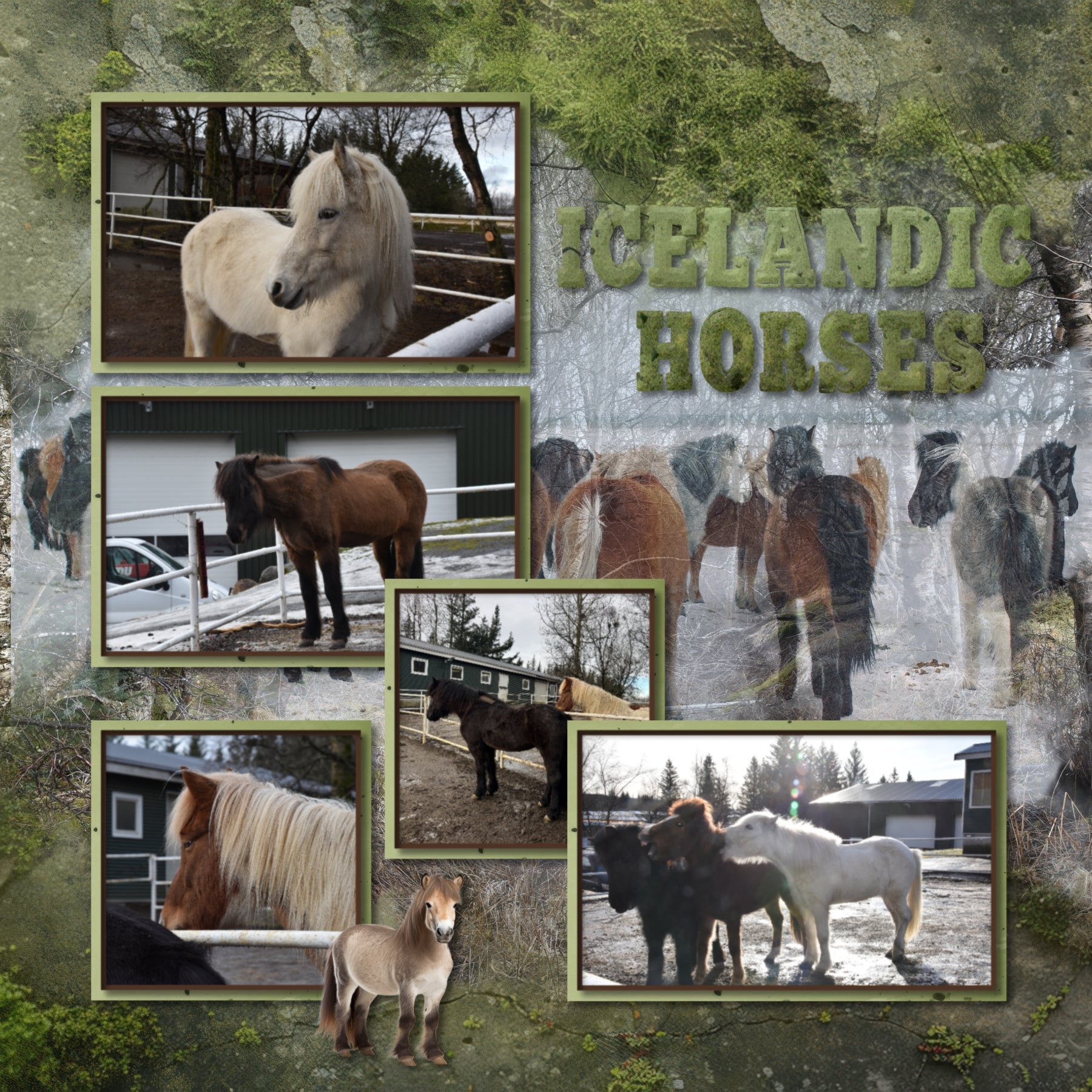 Create beautiful secret garden pages with this realistic bundle filled with embellishments, papers, clusters, and mossy alpha set by Lucky Girl Creative digital art. Embellishments include bunny rabbit, groundhog, mole, raccoon, squirrel, stone arch, moss, bird, statue, bird feeder, bird bath, bird cage, bird house, bridge, column, door, fleur de lis, frame, gnome, greenhouse, heart, butterfly, Chrysalis, caterpillar, cicada, bug, insect, dragonfly, firefly, beetle, termite, key, lantern, mushroom, picnic.