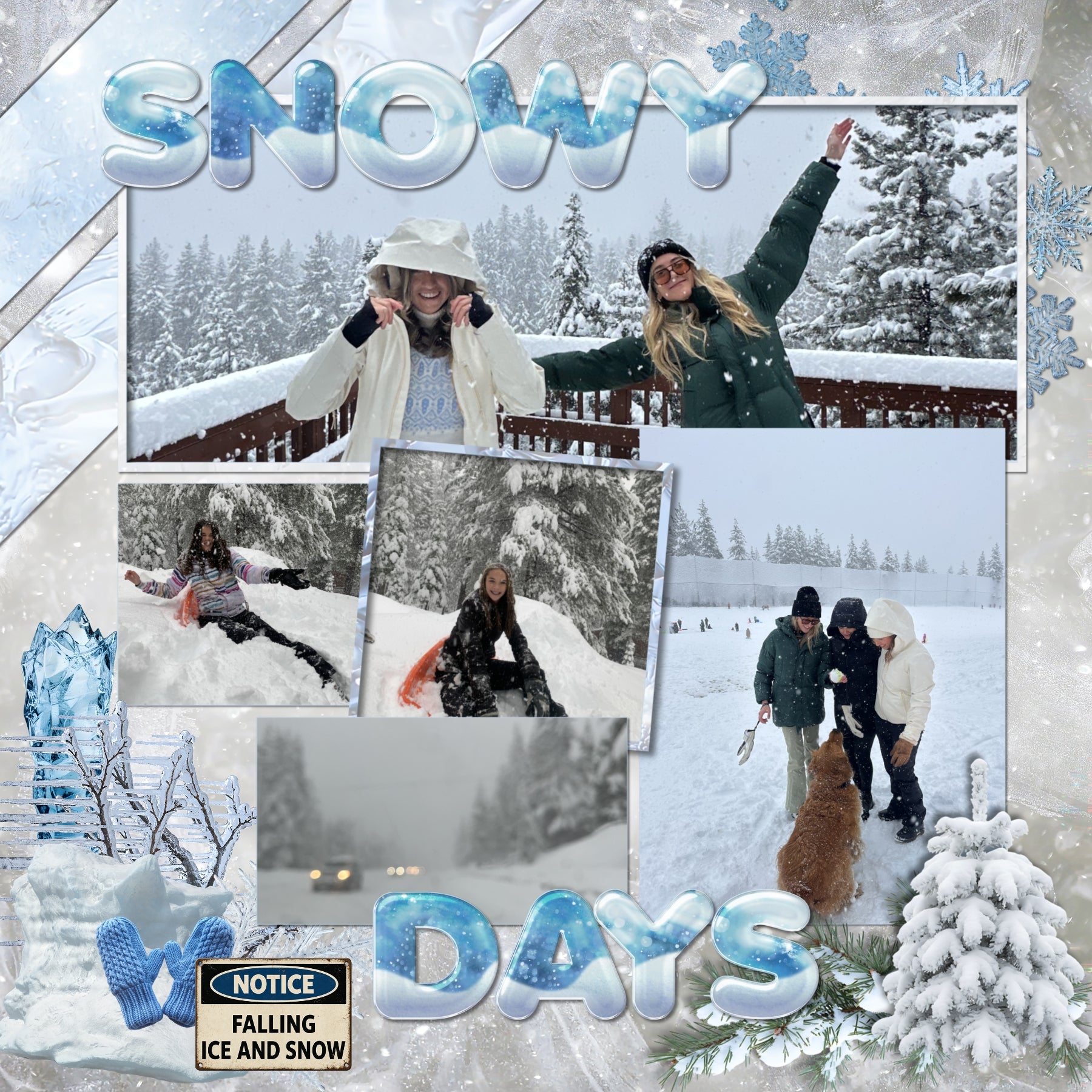 These realistic blizzard embellishments, icy papers, metal signs, and alpha sets by Lucky Girl Creative digital art will add a bit of authenticity to your winter digital scrapbooking pages. Perfect for blizzard, winter, snow, skiing, snowboarding, ice skating, and ice fishing as well as outdoor and nature pages! Embellishments include dog, St. Bernard, battery, cable, wench, car, auto, carabiner, cell tower, chimney, ice, coffee, evergreen bough, pine, fireplace, stove, first aid kit, flashlight, globe