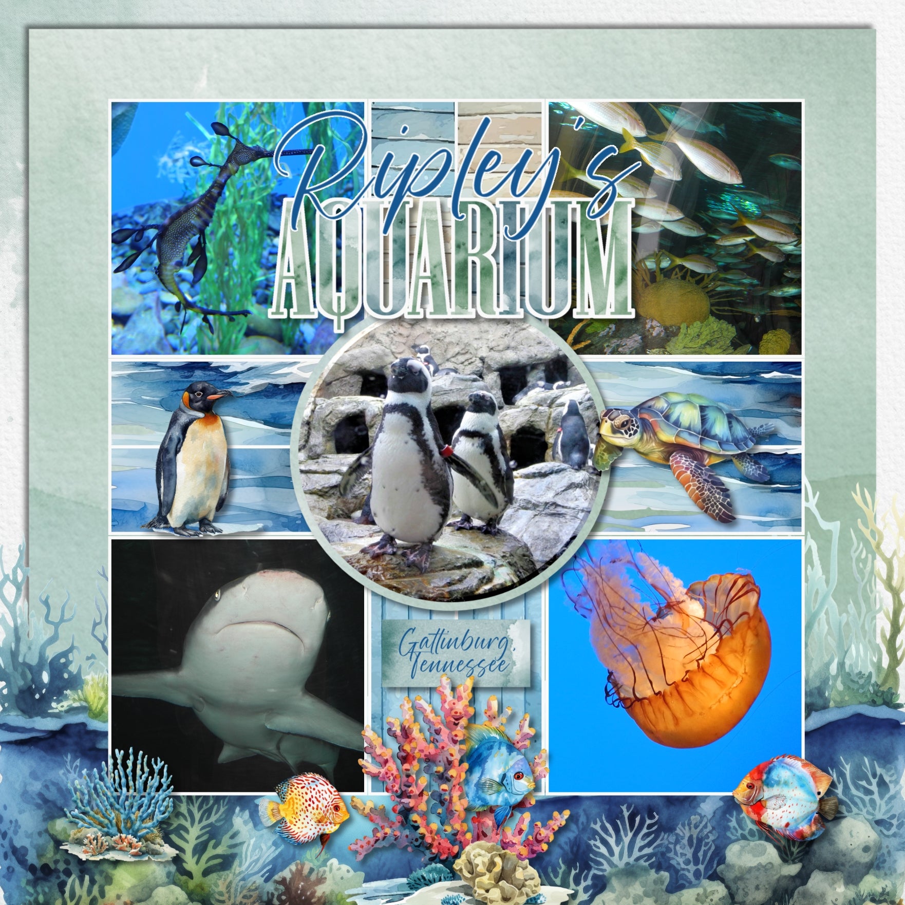 Add these beautiful watercolor embellishments, clusters, papers, and a coordinated alpha set by Lucky Girl Creative digital art to all your digital scrapbooking pages to easily create memorable Oceania pages and albums! Great for vacations to Australia, New Zealand, Fiji, Samoa, Micronesia, and many islands found in the Pacific ocean. Embellishments feature birds, fish, Cassowary, Cockatoo Emu, Kea, Kingfisher, Kiwi, Bushbaby, and more.