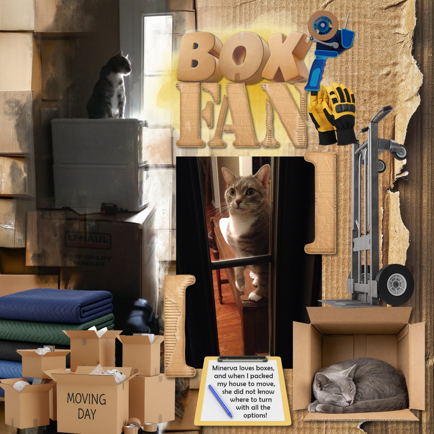 Your home has sold! Now it's time to pack and move! Get started documenting your journey with these realistic embellishments, papers, clusters, word art, and alpha set by Lucky Girl Creative digital art. Great for real estate agents, realtors, and home buyers and sellers! Embellishments include cat in box, dog in bed, damaged box, crushed packaging, bubble wrap, roll, calendar, box, cardboard, moving box, packing box, fragile, moving day, clipboard, crate, picket fence, welcome mat, door mat, gloves