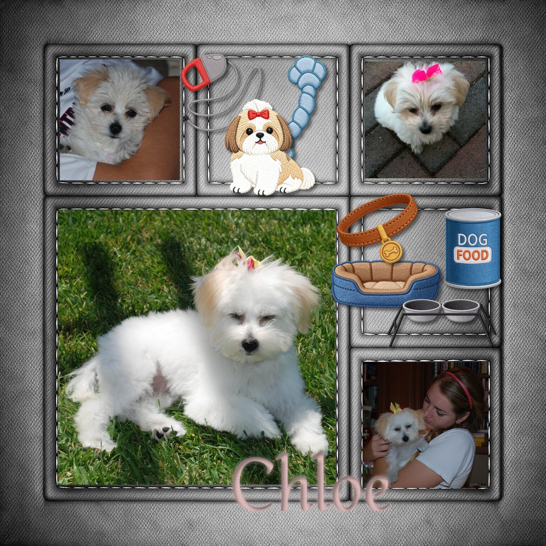 Make quick and easy collage pages with these grid background papers with decorative stitching by Crafty Clover digital art. Each paper in the set is designed to mix-and-match for a consistent look and feel. Add your photos and embellishments to each grid section or feel free to think outside the box. Easily colorized by adjusting the Hue or using Color Wash. This kit is NOT included in any bundle.