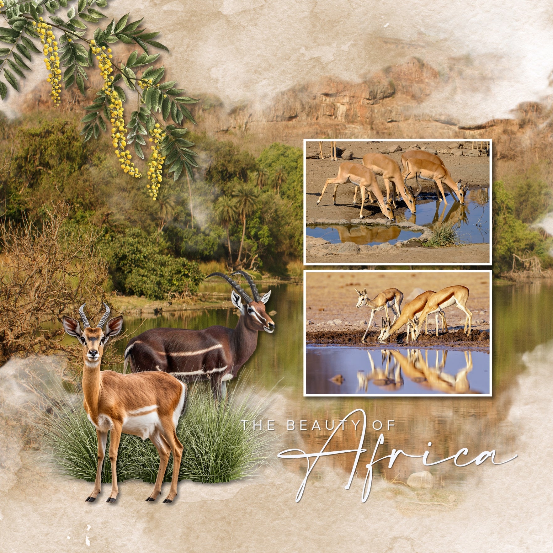 Be inspired by the beautiful savanna with these soft, earth-toned digital scrapbooking watercolor papers by Lucky Girl Creative digital art. Perfect for creating pages of vacations to Africa, Australia, the desert, as well as outdoor and nature adventures in fall and autumn. The Savanna Flora & Fauna Watercolor Papers is included in the Savanna Flora & Fauna Mega Bundle.