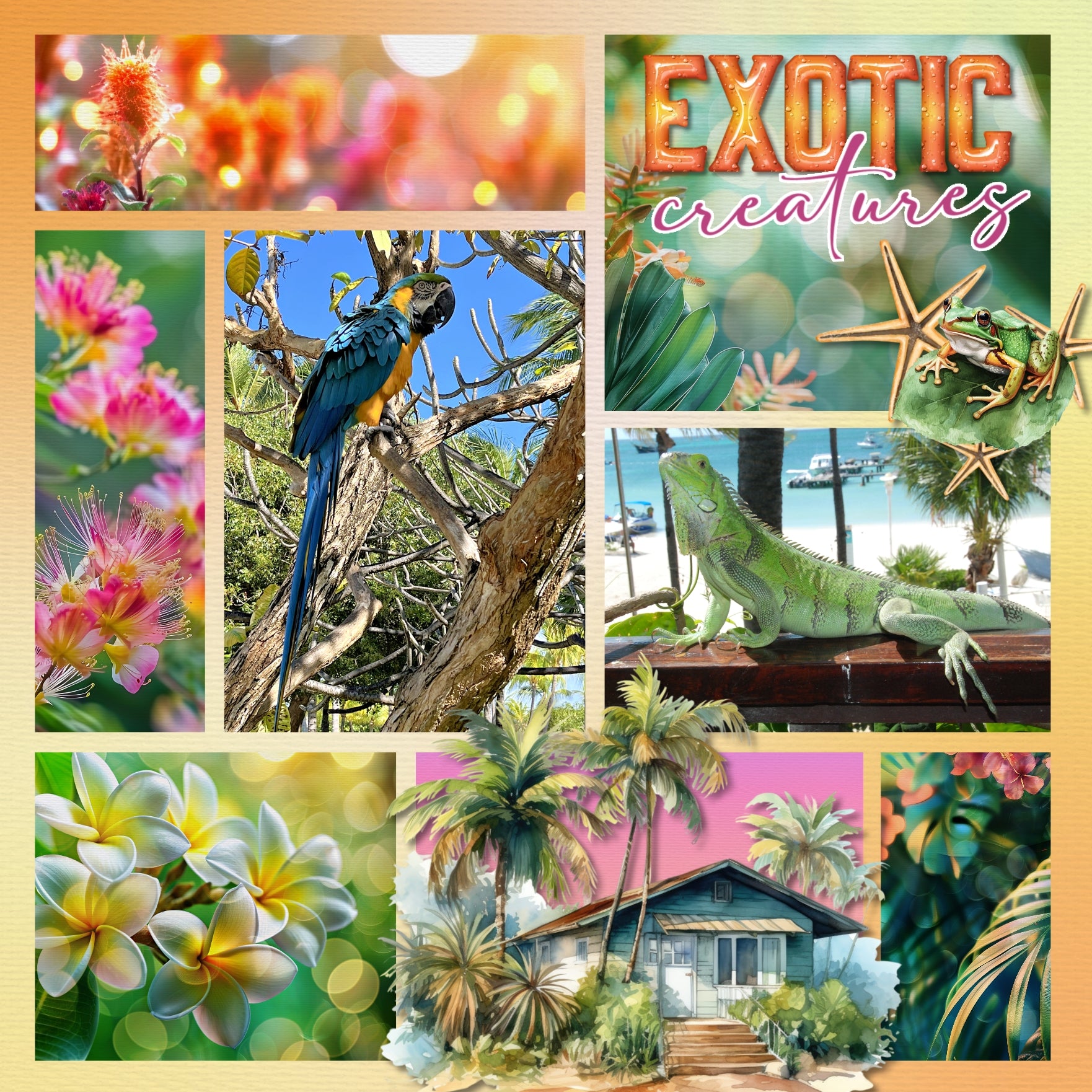 Paper Duos by Lucky Girl Creative digital art for digital scrapbooking are the perfect combination of papers! Use to create one-of-a-kind beautiful backgrounds of tropical flower bokeh and warm ombre great for beach vacations and summer holidays. This kit includes the Tropical Flower Bokeh Papers and the Tropical Warm Ombre Papers.
