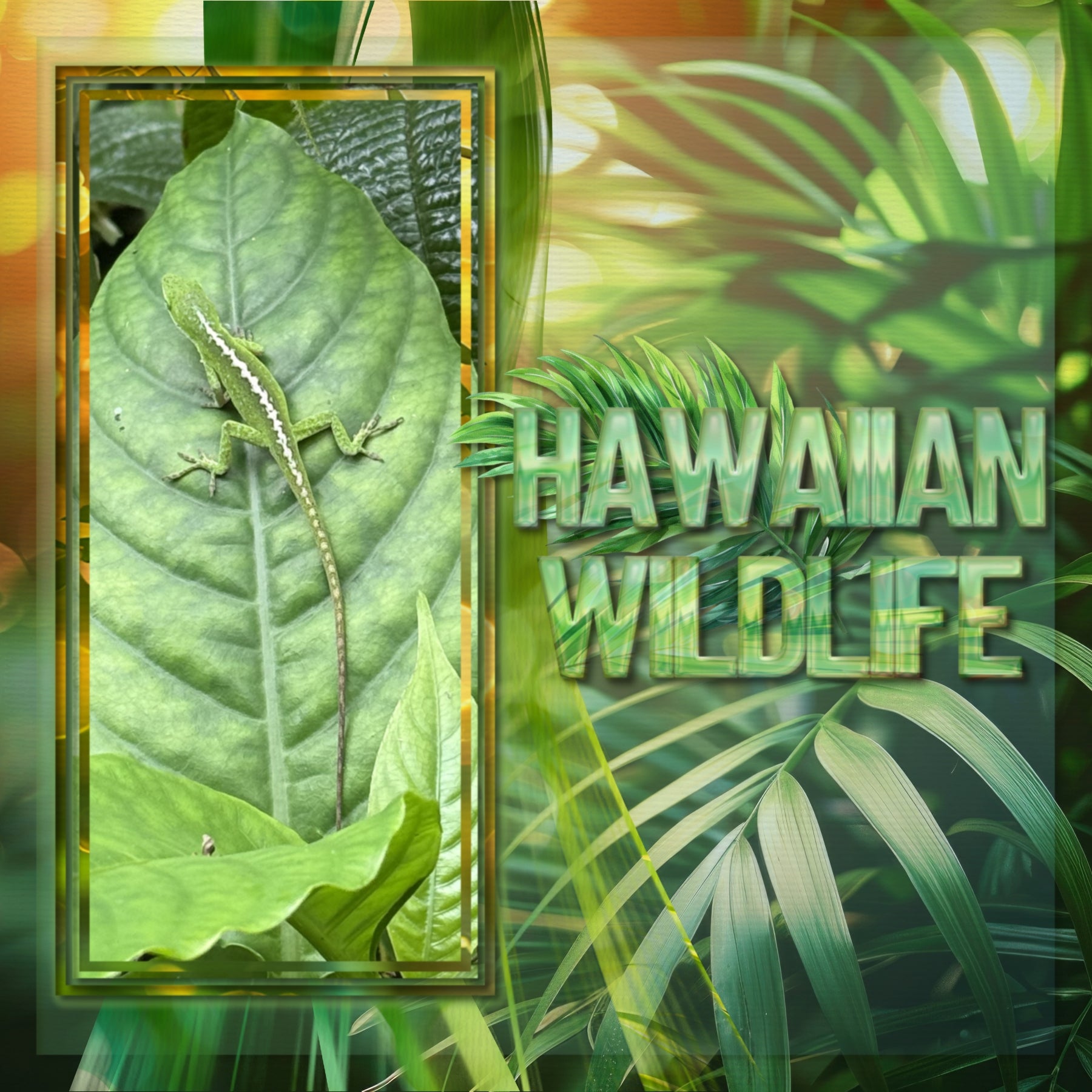 Paper Duos are the perfect combination of papers by Lucky Girl Creative digital art for digital scrapbooking! Use to create one-of-a-kind beautiful backgrounds of tropical leaf bokeh and cool ombre great for summer vacations and tropical holidays. This kit contains the Tropical Leaf Bokeh Papers and the Tropical Cool Ombre Papers.