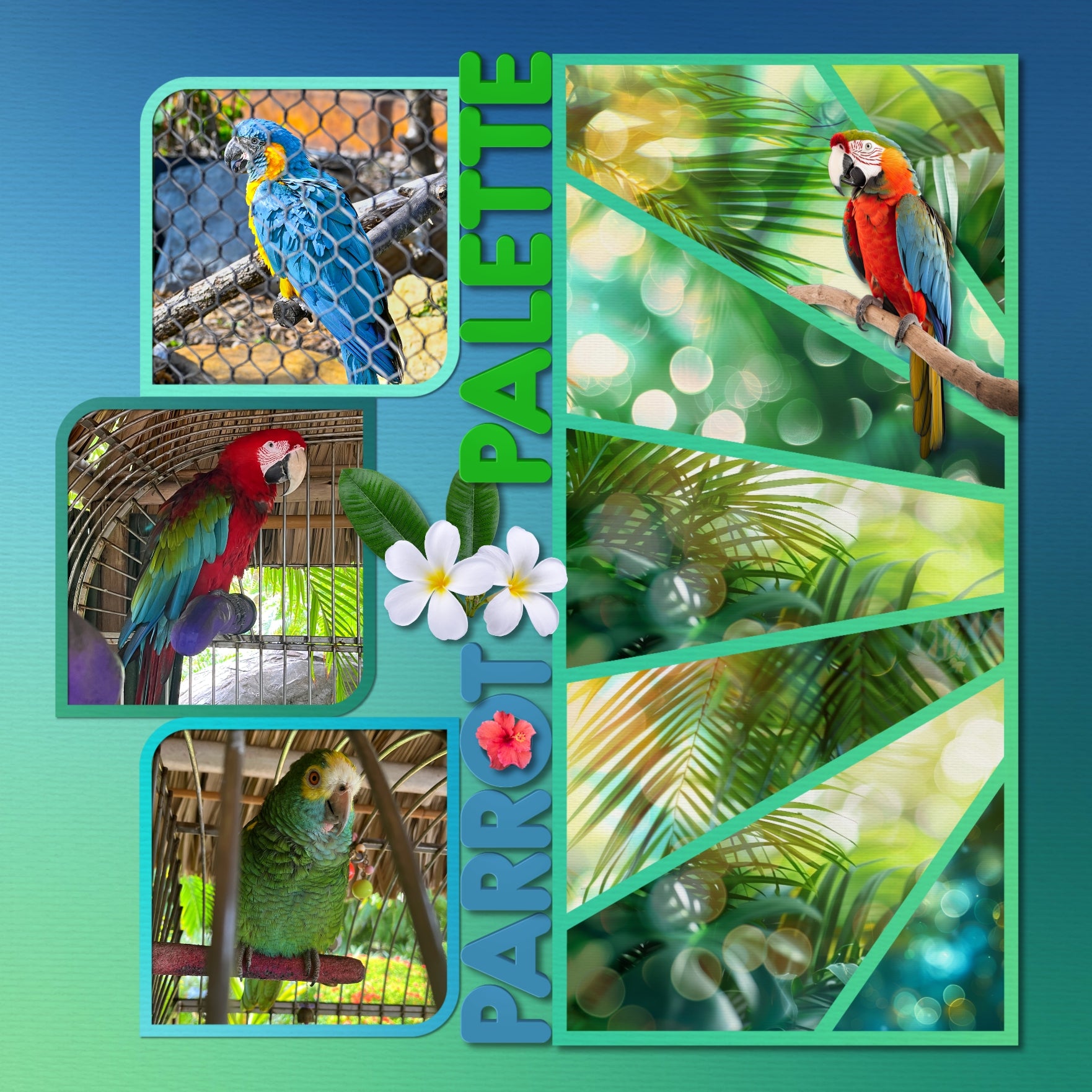 Paper Duos are the perfect combination of papers by Lucky Girl Creative digital art for digital scrapbooking! Use to create one-of-a-kind beautiful backgrounds of tropical leaf bokeh and cool ombre great for summer vacations and tropical holidays. This kit contains the Tropical Leaf Bokeh Papers and the Tropical Cool Ombre Papers.