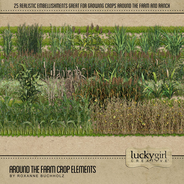 The Around the Farm Crop Elements Digital Scrapbook Kit by Lucky Girl Creative explores life around the farm, barn, fields and garden. Digital embellishments and papers include corn, grain, beans, sprouts, rows, fields, rice, grass, wheat, hay, straw, cabbage, potatoes, barley, fruit trees, and more!