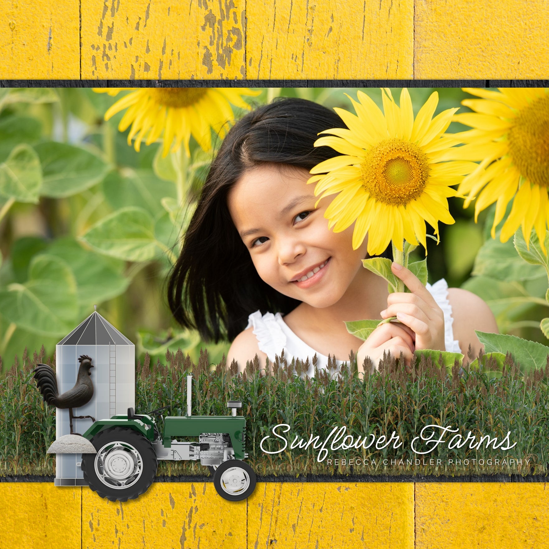 The Around the Farm Kit by Lucky Girl Creative explores life around the farm, barn, fields and garden. With modern agriculture machinery and tractor equipment, barnyard animals, and other realistic farm and ranch elements, this collection will showcase your farm photos in authentic style. Also great for documenting farm field trip visits, 4H projects, or state and county fairs.